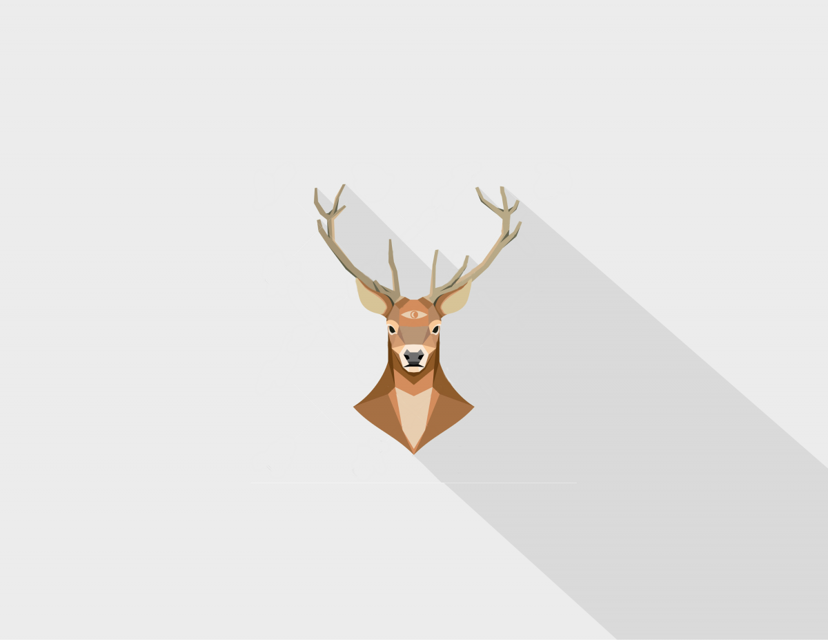 Reindeer , HD Wallpaper & Backgrounds