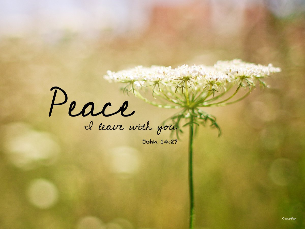 It Is Up To Us To Find The Peace Within Peace Within - Peace Is With You , HD Wallpaper & Backgrounds