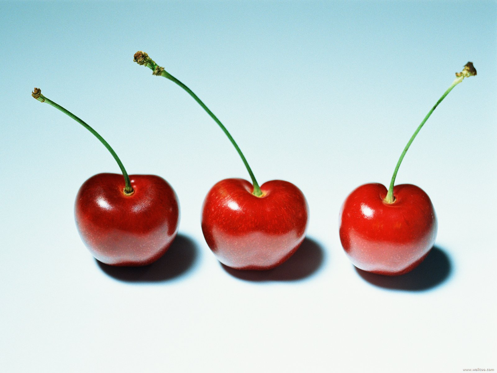 Potret Buah Segar Dan Nikmat - 3 Cherries , HD Wallpaper & Backgrounds