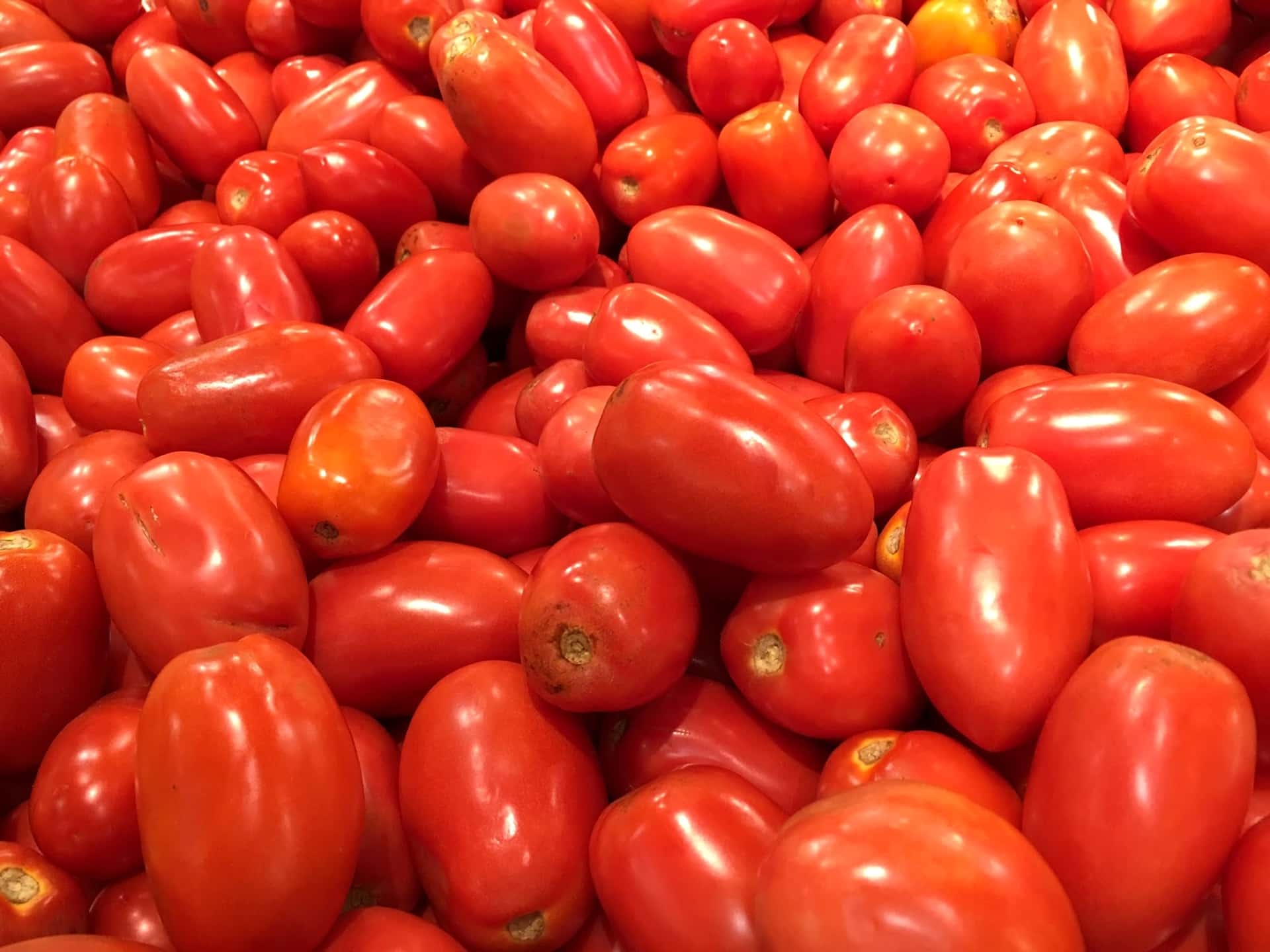 Makanan, Tomat, Sayur, Segar, Sehat, Organik, Buah, - Plum Tomato , HD Wallpaper & Backgrounds