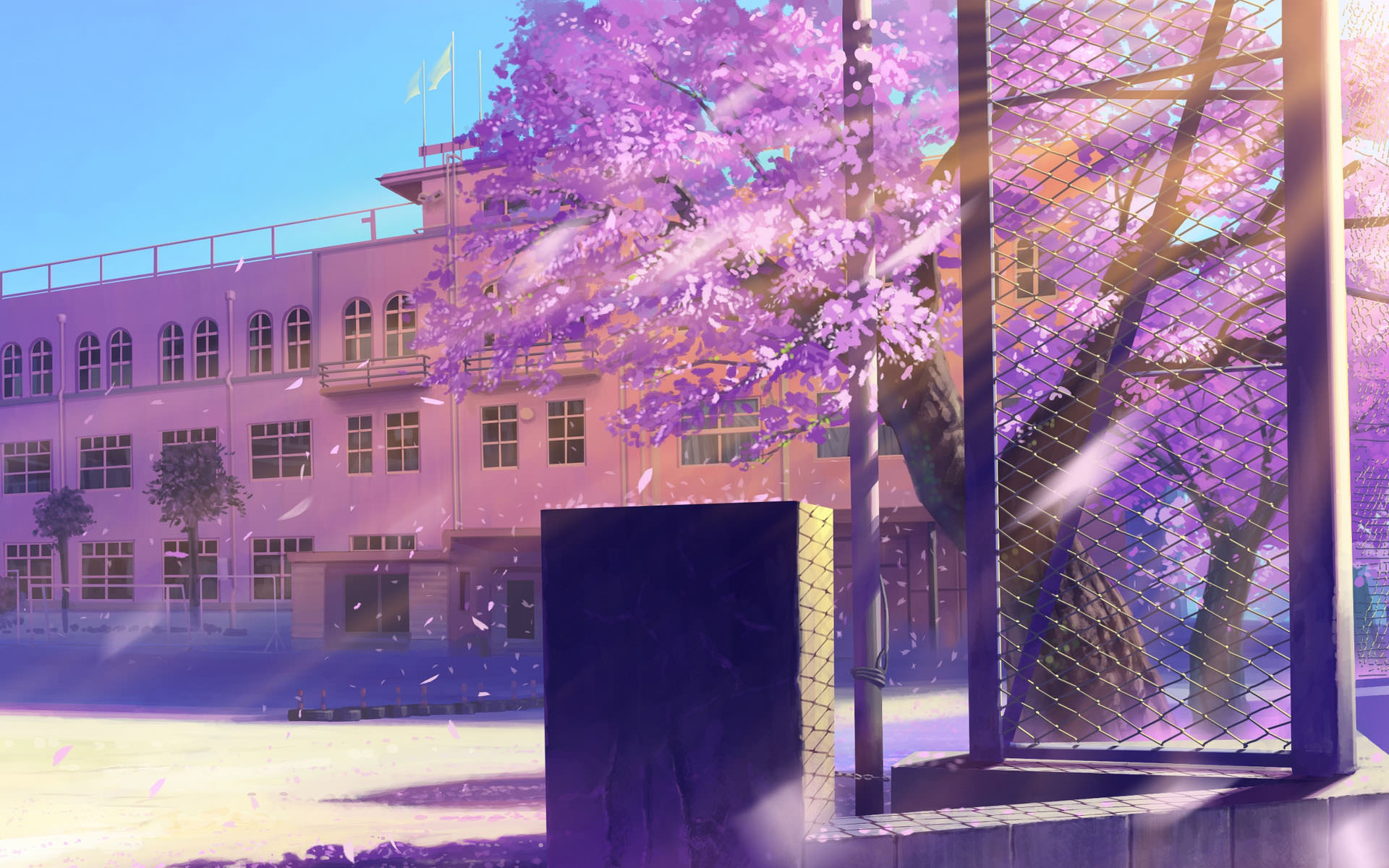 Anime School Architecture Hd Wallpaper - Anime School Cherry Blossom , HD Wallpaper & Backgrounds