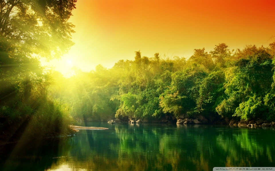 Wide 16 - - Amazon Rainforest Hd , HD Wallpaper & Backgrounds