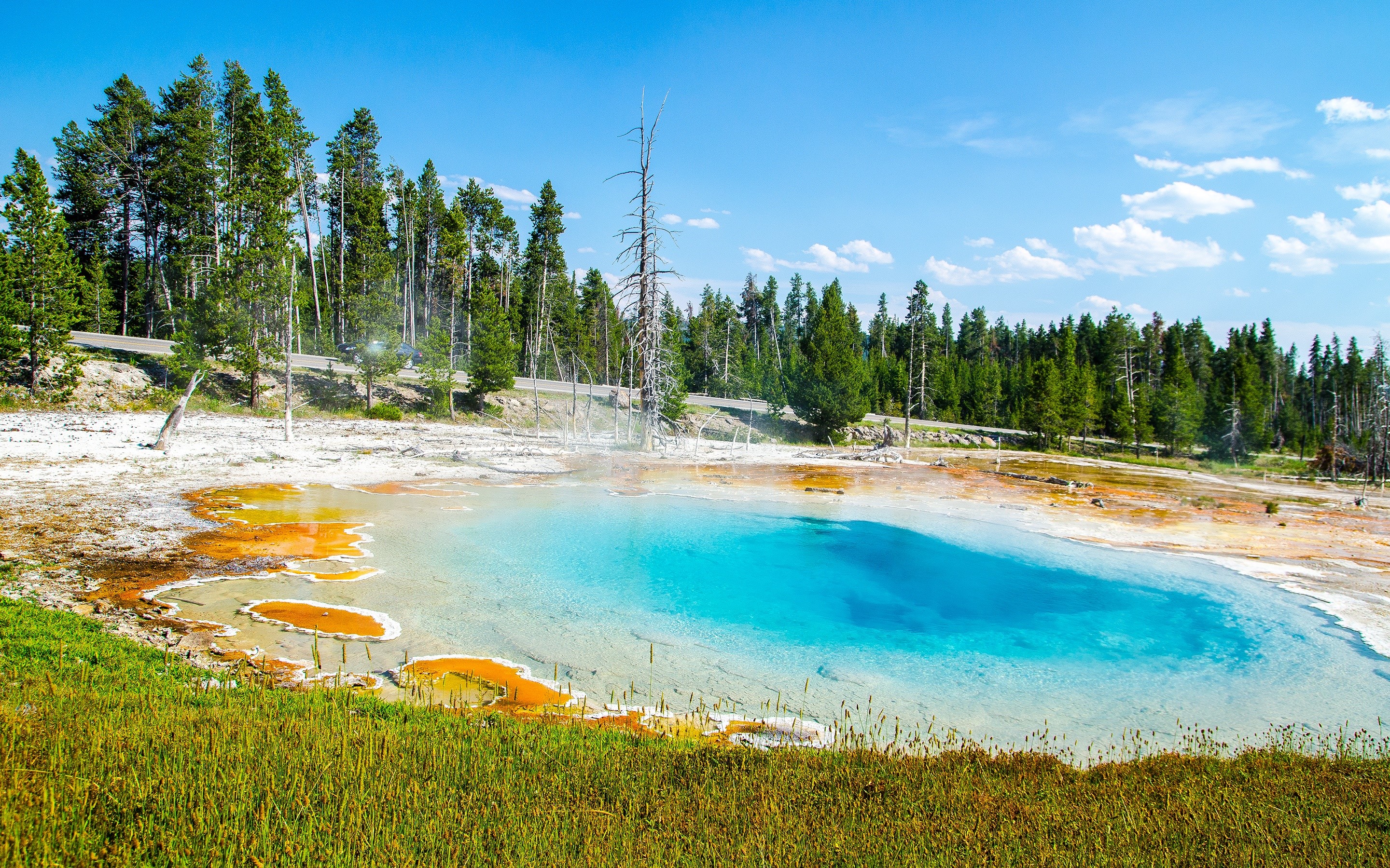 Wallpaper Pool In The Forest - Yellowstone National Park , HD Wallpaper & Backgrounds