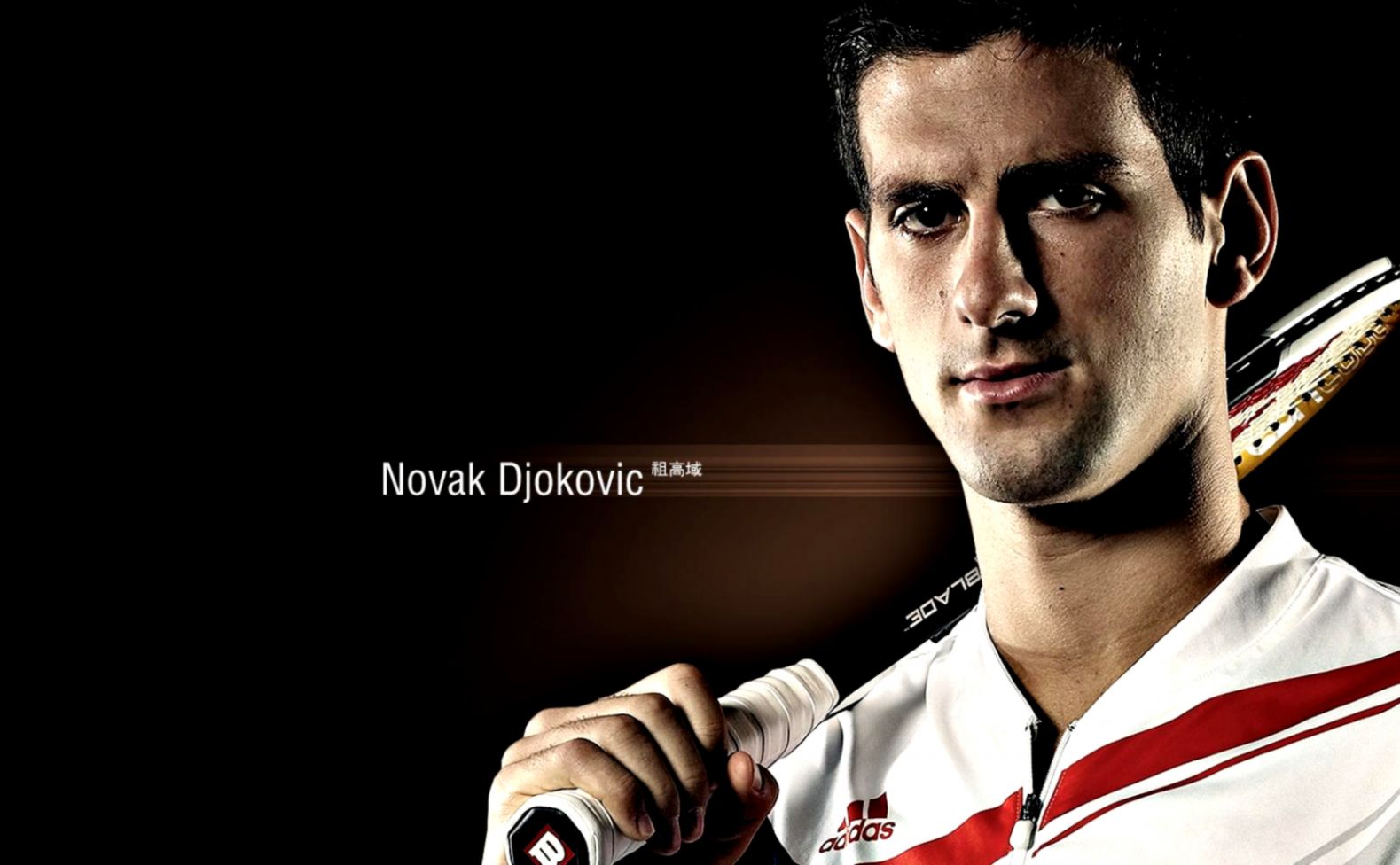 Novak Djokovic Wallpaper For Pc Full Hd Pictures Serveace - Novak Djokovic , HD Wallpaper & Backgrounds