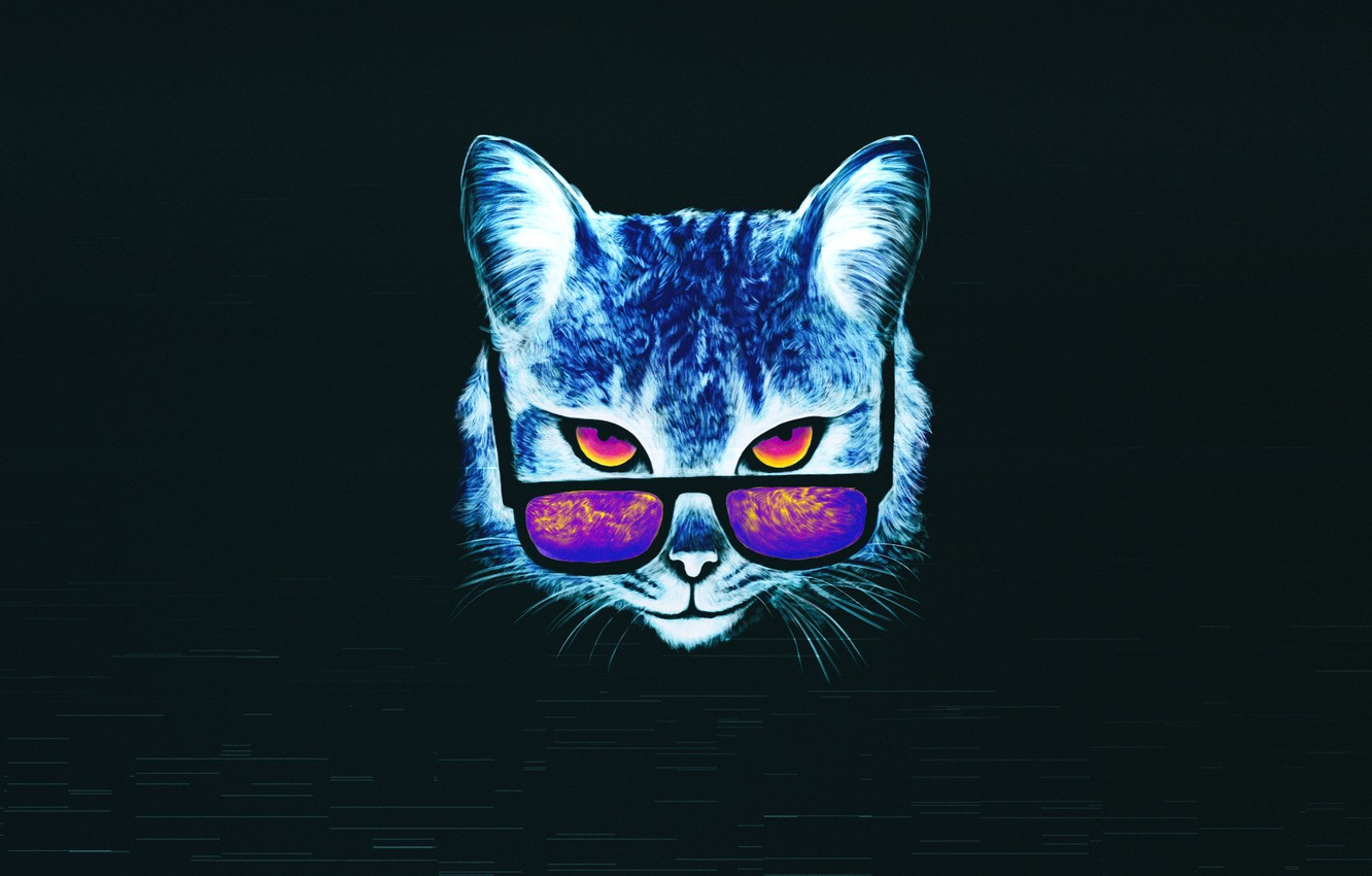 Photo Wallpaper Minimalism, Cat, Glasses, Cat, Style, - Neon Wallpaper Cats , HD Wallpaper & Backgrounds