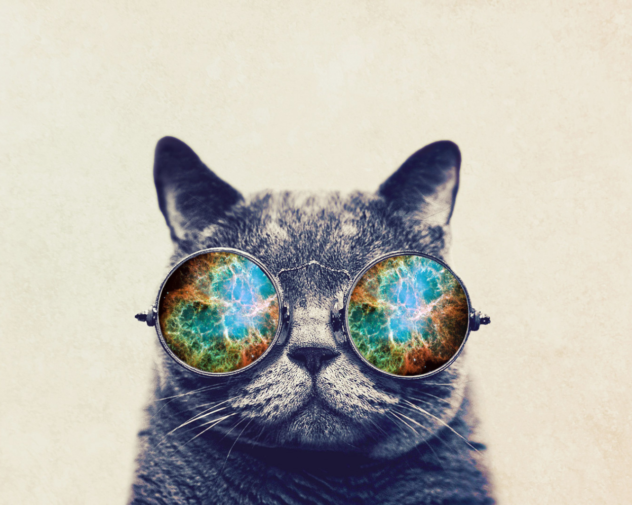 Turquoise, Vision Care, Glasses, Eyewear, Small To - Cat With Google Glass , HD Wallpaper & Backgrounds