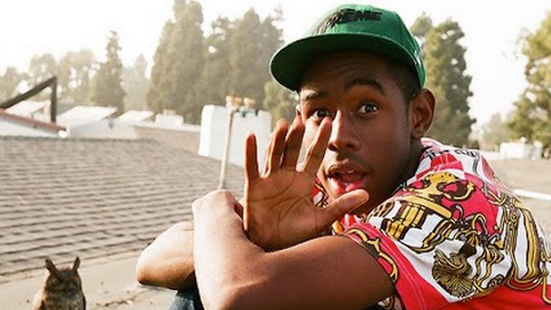 Tyler The Creator Wallpaper - Tyler The Creator Transparent , HD Wallpaper & Backgrounds