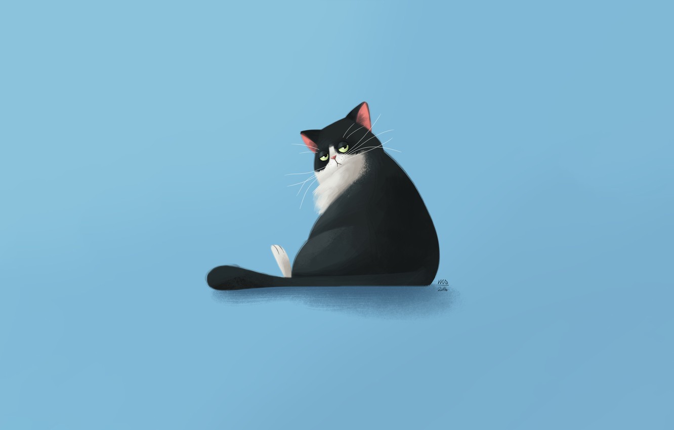 Photo Wallpaper Minimalism, Cat, Background, Cat, Spicchio - Domestic Short-haired Cat , HD Wallpaper & Backgrounds