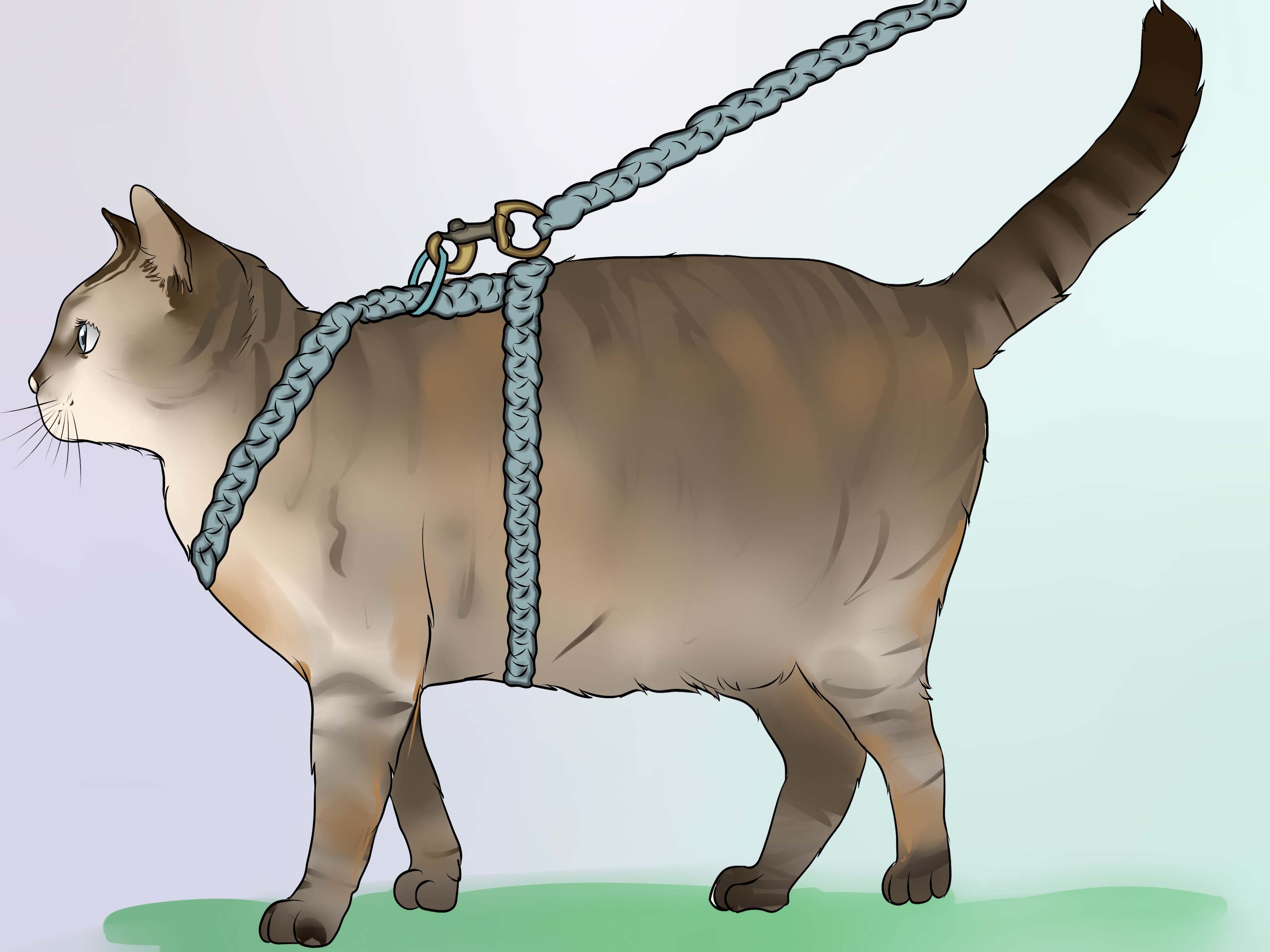 How To Make A Harness For Your Fat Cat - Cat Harness On Cat , HD Wallpaper & Backgrounds