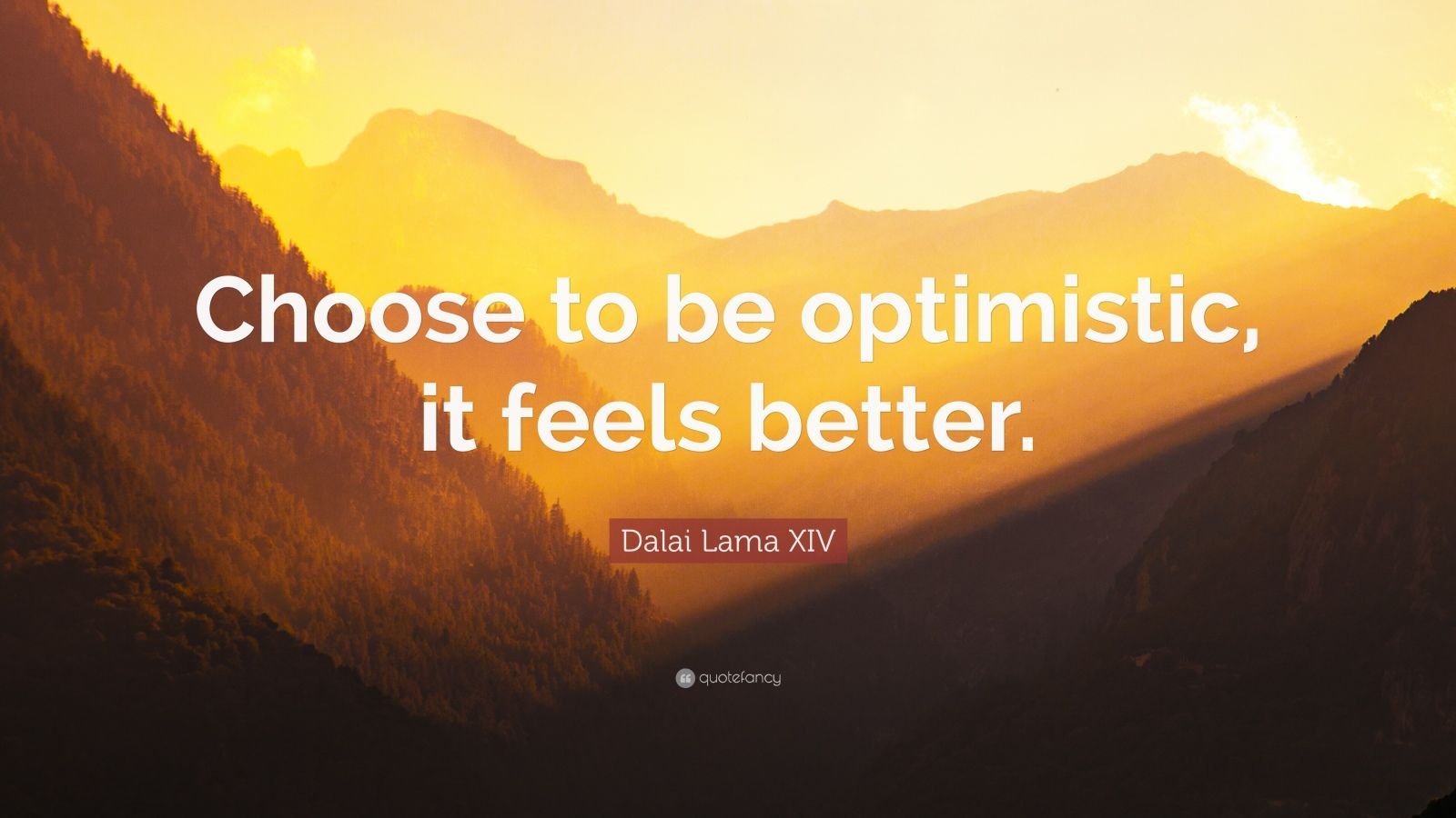 Dalai Lama Xiv Quote Choose To Be Optimistic It Feels - It's Hard To Be A Person That Never Gives Up , HD Wallpaper & Backgrounds