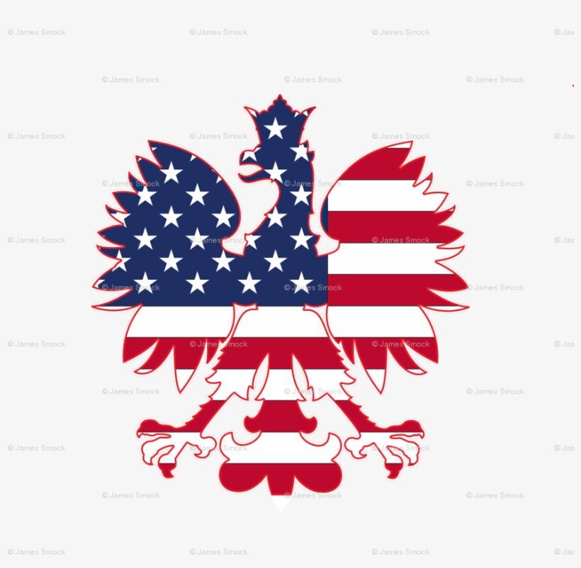 Excelent Polish American Flag Free Transparent Png - Polish American Flag , HD Wallpaper & Backgrounds