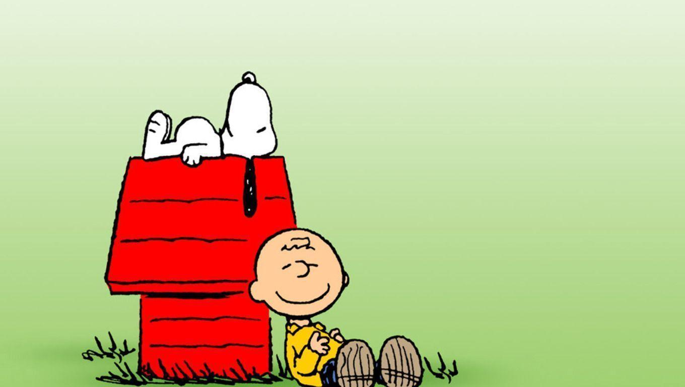 Best Cartoon Snoopy Wallpaper - Peanuts Snoopy And Charlie Brown , HD Wallpaper & Backgrounds