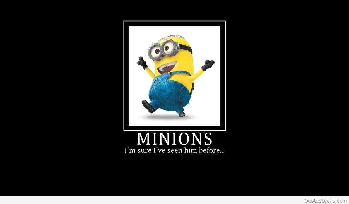 Funny Minion Wallpapers Hd , HD Wallpaper & Backgrounds