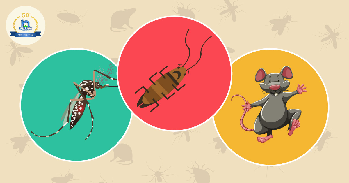 Mosquito, Cockroach And Rodent Populations Expected - Illustration , HD Wallpaper & Backgrounds