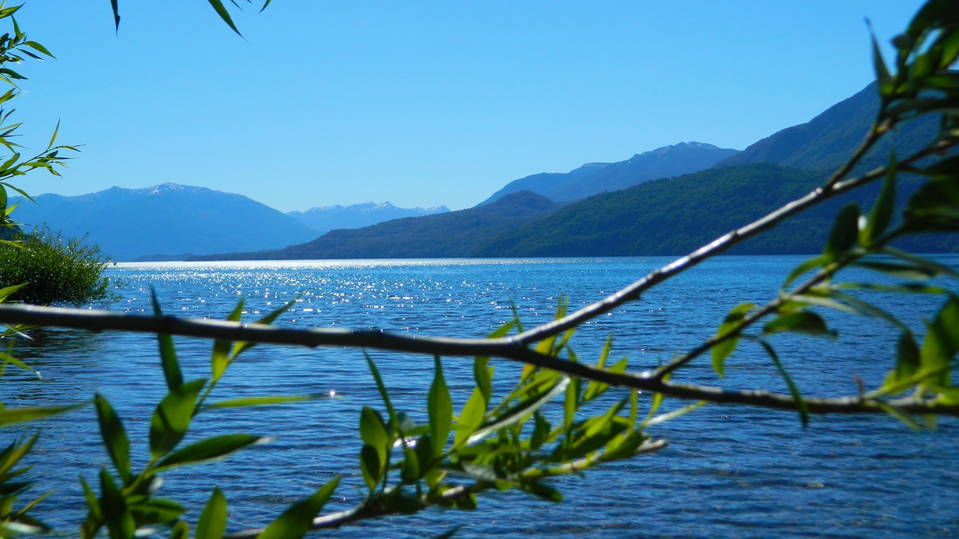 Lago Argentina Lacar Quila Patagonia Neuquen Quina - Sea , HD Wallpaper & Backgrounds