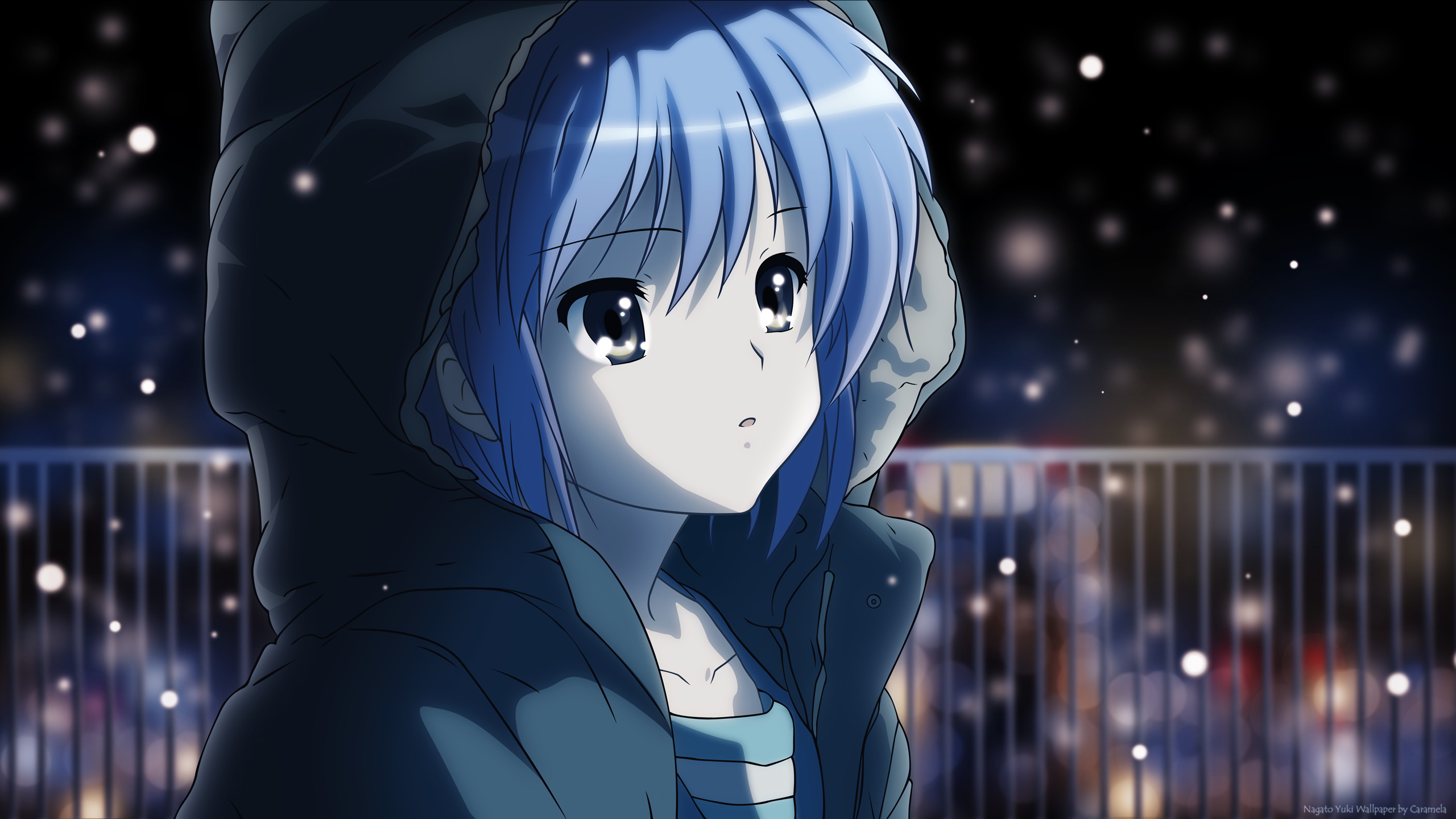 Disappearance Of Haruhi Nagato , HD Wallpaper & Backgrounds