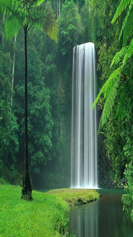 Photograph Of Nature That Reminds Us To Keep It Simple - Iphone X Wallpaper Waterfall , HD Wallpaper & Backgrounds