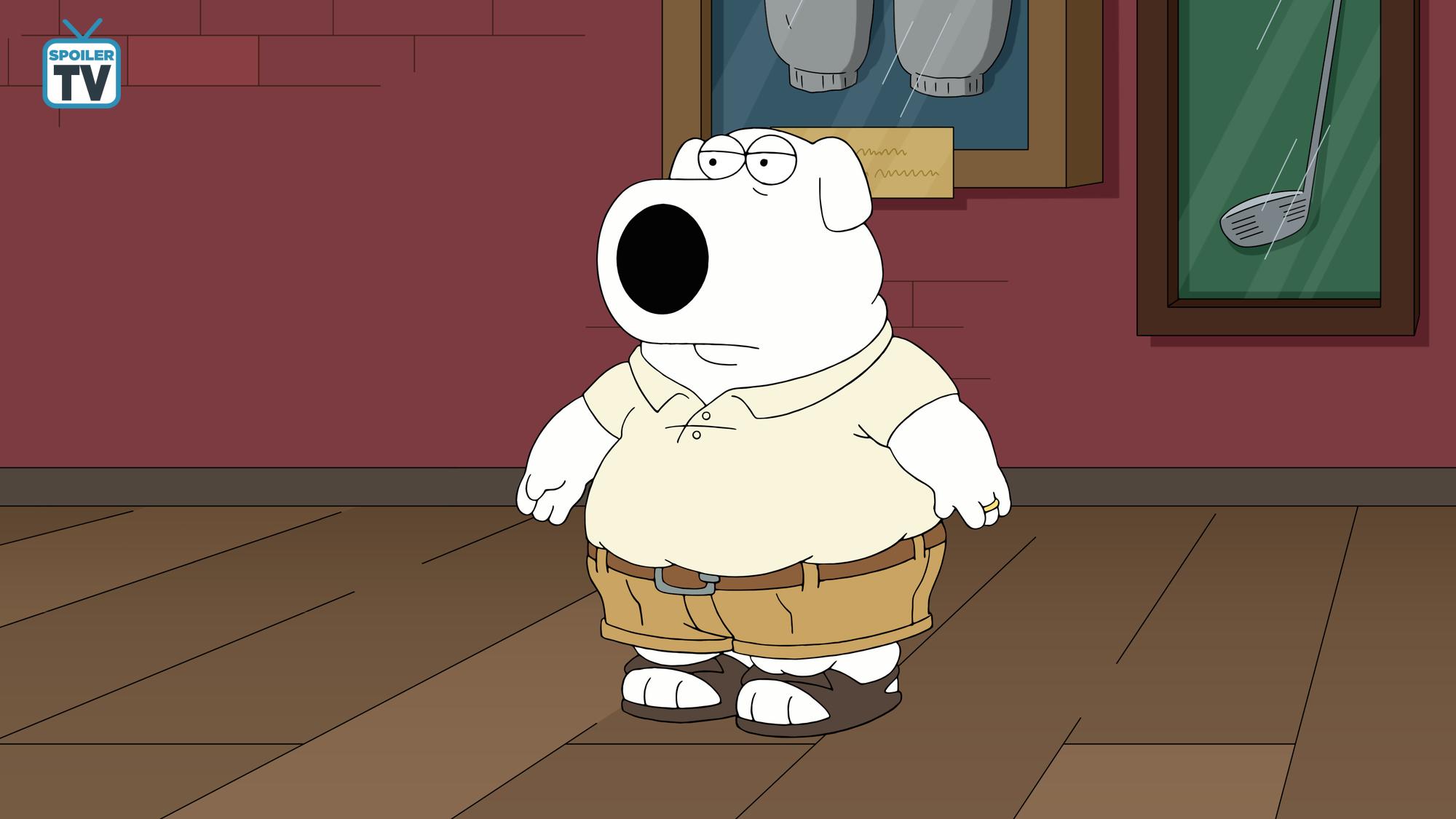 Fox Cartoons Images Family Guy ~ Pal Stewie Hd Wallpaper - Family Guy Dead Dog Walking , HD Wallpaper & Backgrounds