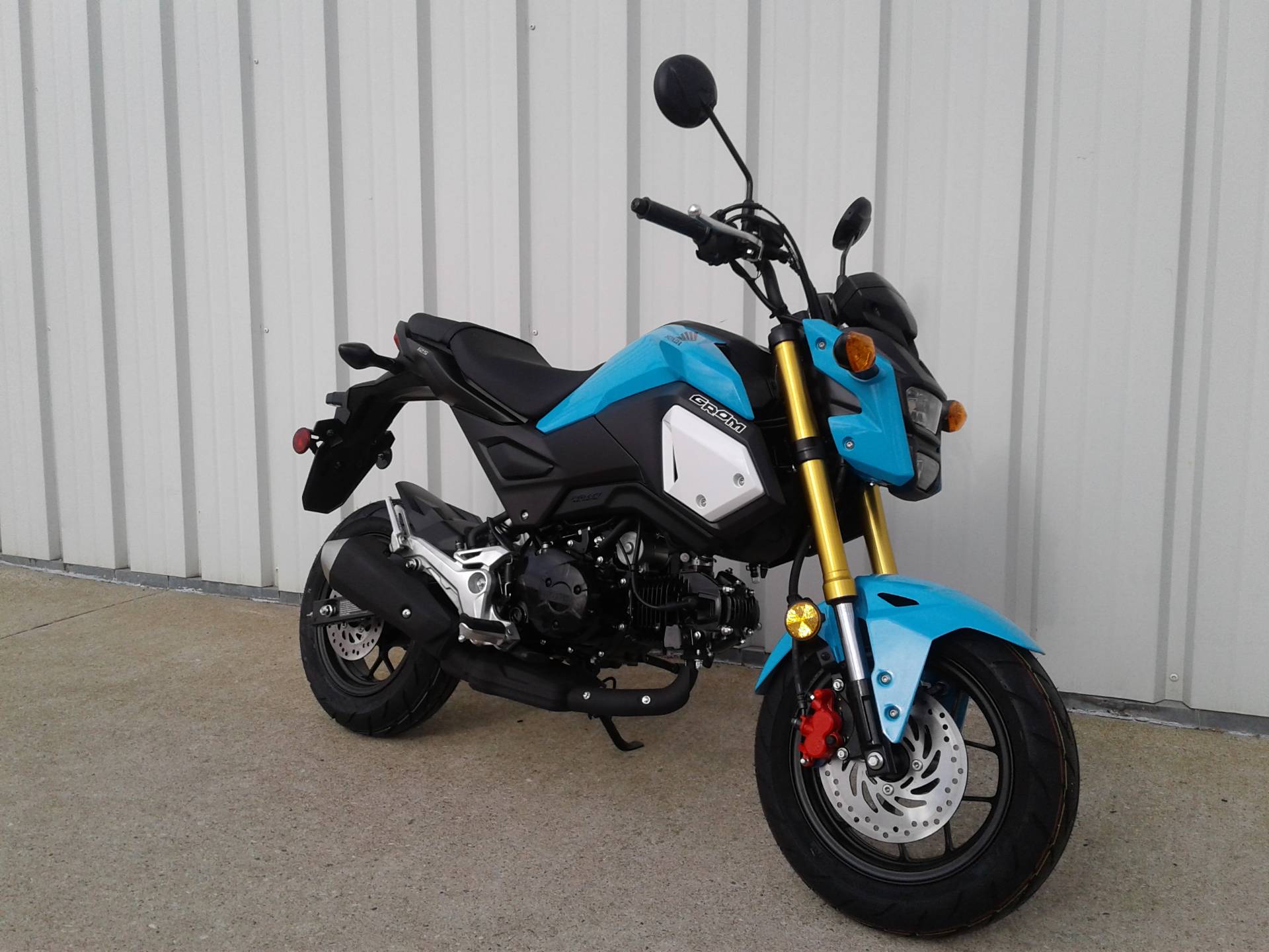 2019 Honda Grom In Manitowoc, Wisconsin - Honda , HD Wallpaper & Backgrounds