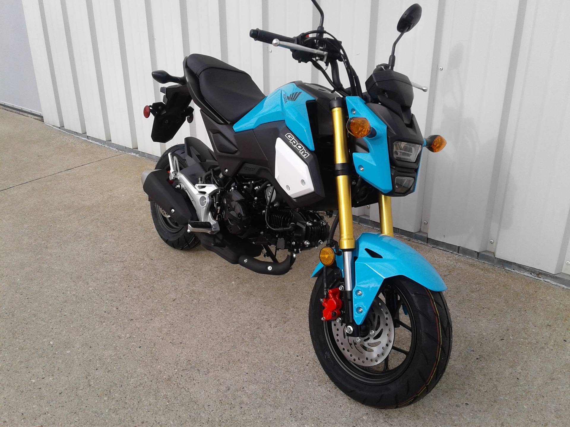 2019 Honda Grom In Manitowoc, Wisconsin - Scooter , HD Wallpaper & Backgrounds