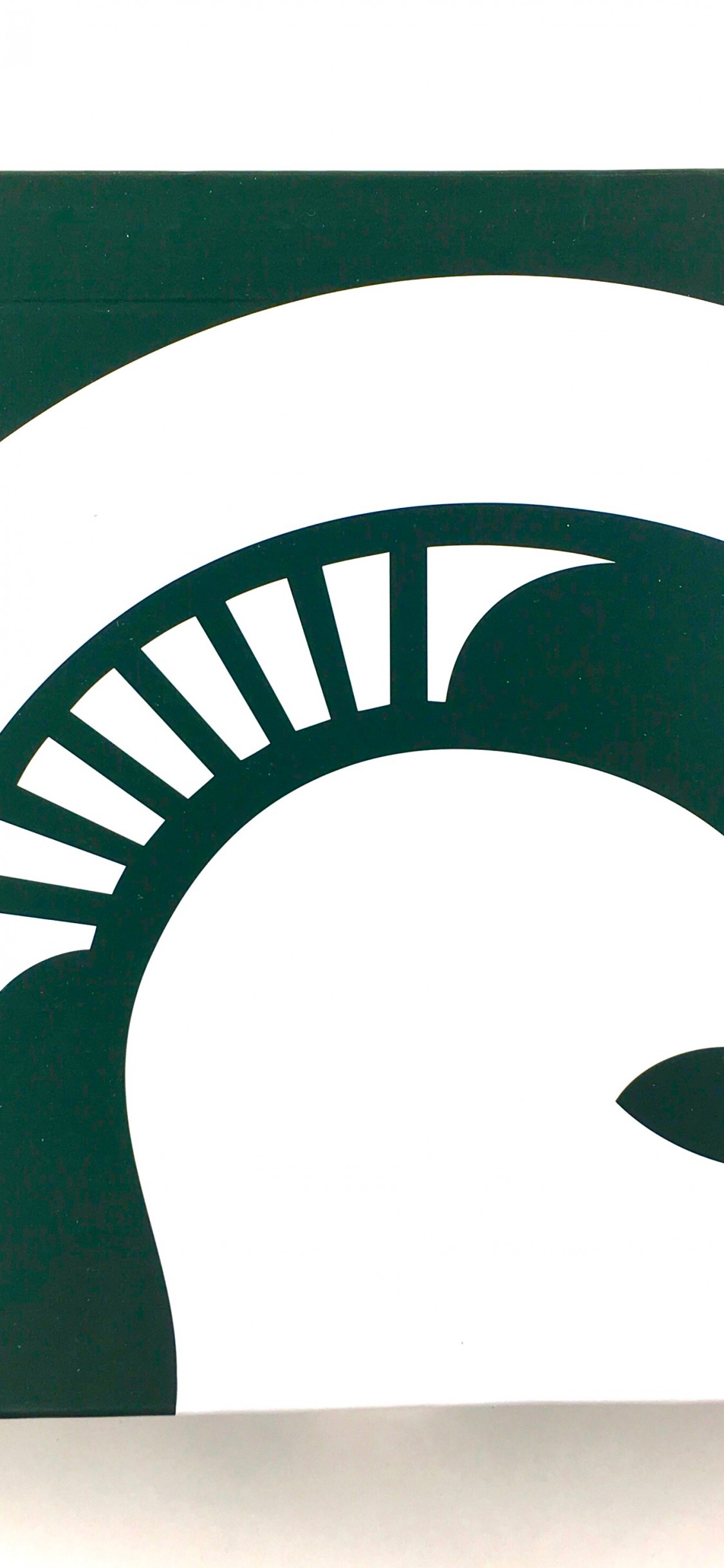 Download Michigan State Spartans Youth Jersey, Michigan - Michigan State Spartans , HD Wallpaper & Backgrounds