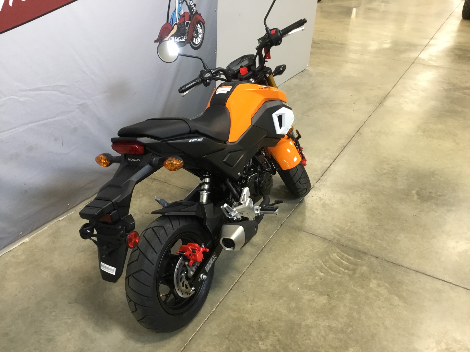 2019 Honda Grom In O Fallon, Illinois - Motorcycle , HD Wallpaper & Backgrounds