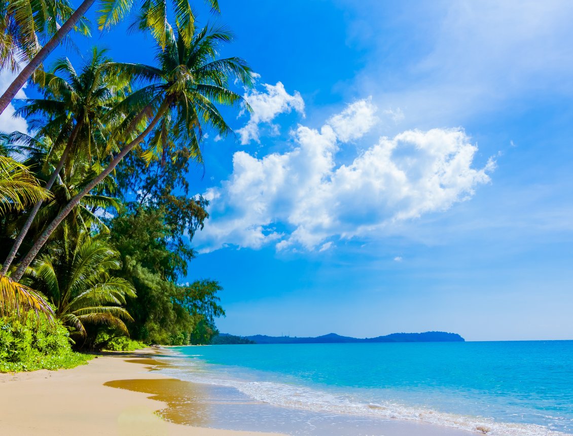 Sunny Day Hd Wallpaper - Sunny Day On The Beach , HD Wallpaper & Backgrounds