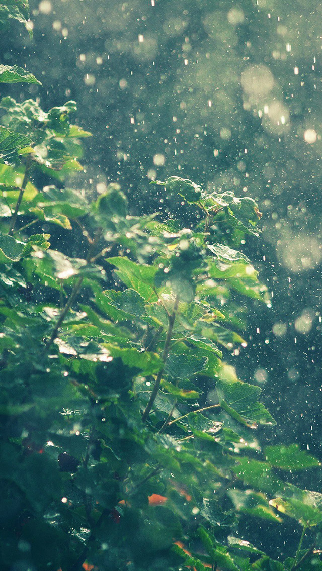 Summer Rainy In Sunny Day Iphone Se Wallpaper - Rain Wallpaper Iphone 6 , HD Wallpaper & Backgrounds