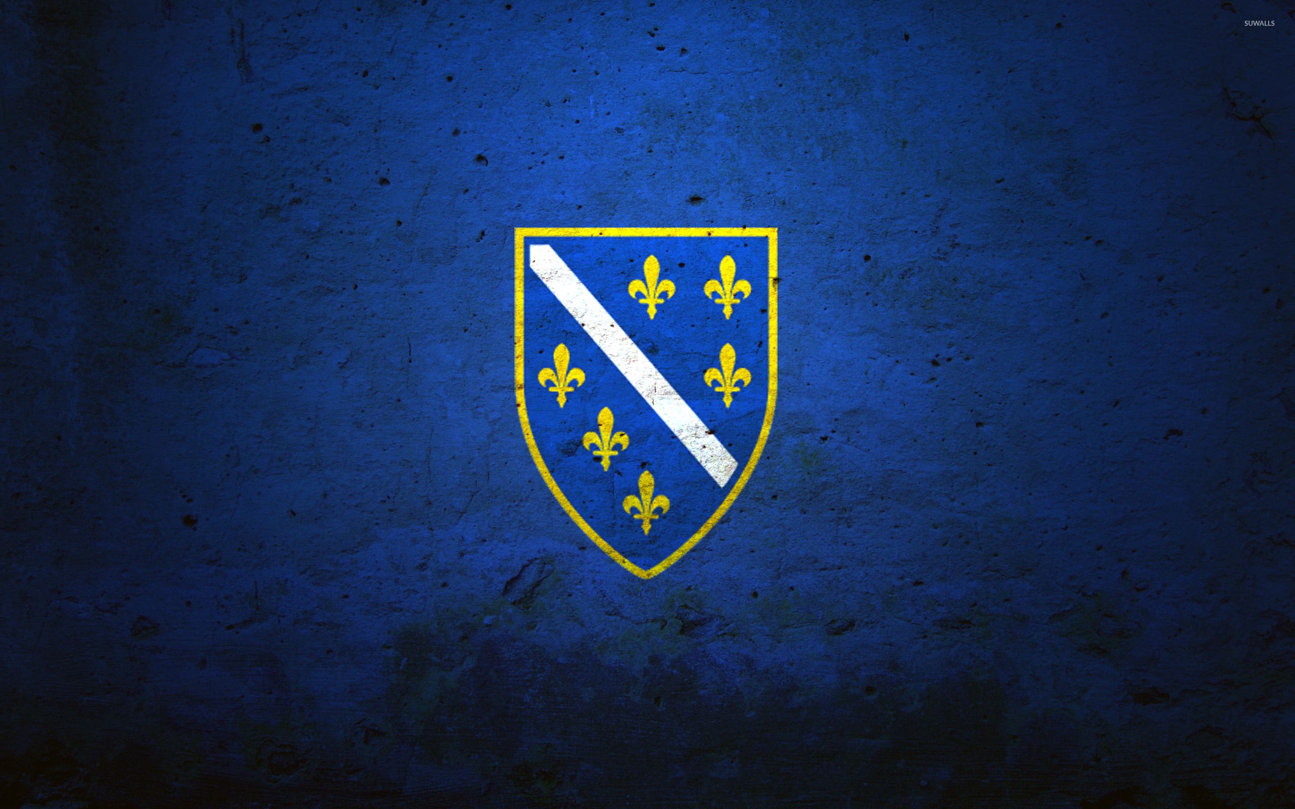 Flag Of The Bosnian Kingdom Wallpaper - Armed Forces Of Bosnia And Herzegovina , HD Wallpaper & Backgrounds