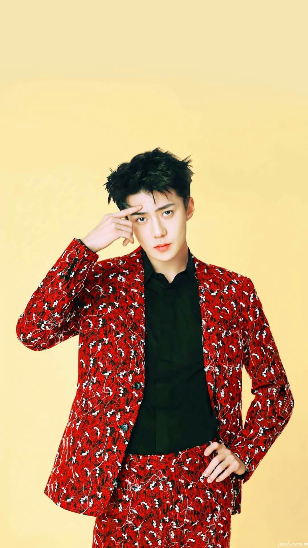 Lee Jong Suk Park Bo Gum Wallpaper Full Hd Free Download - Exo Sehun Model , HD Wallpaper & Backgrounds