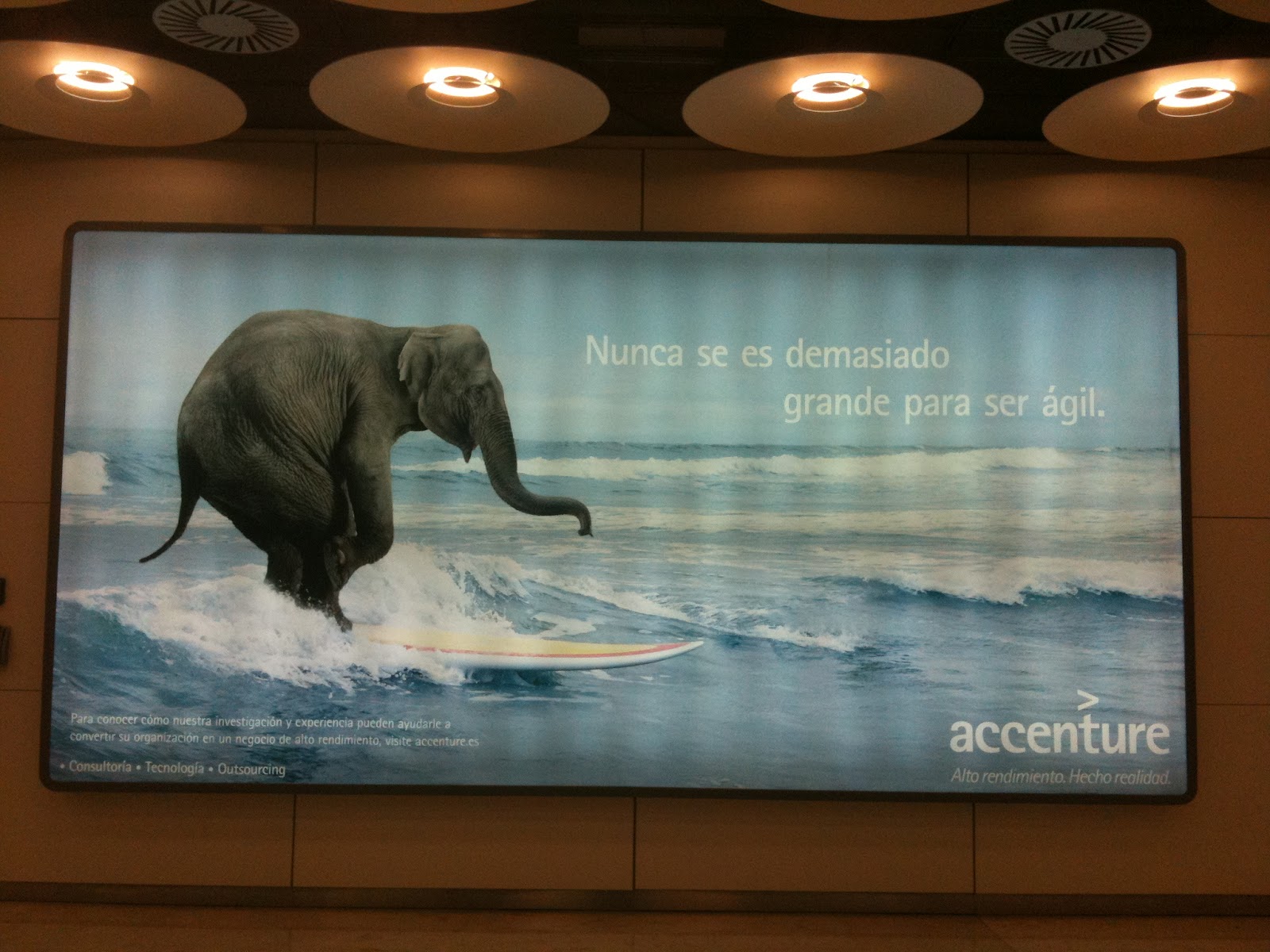 Accenture Logo Wallpaper - Accenture Animal Ads , HD Wallpaper & Backgrounds