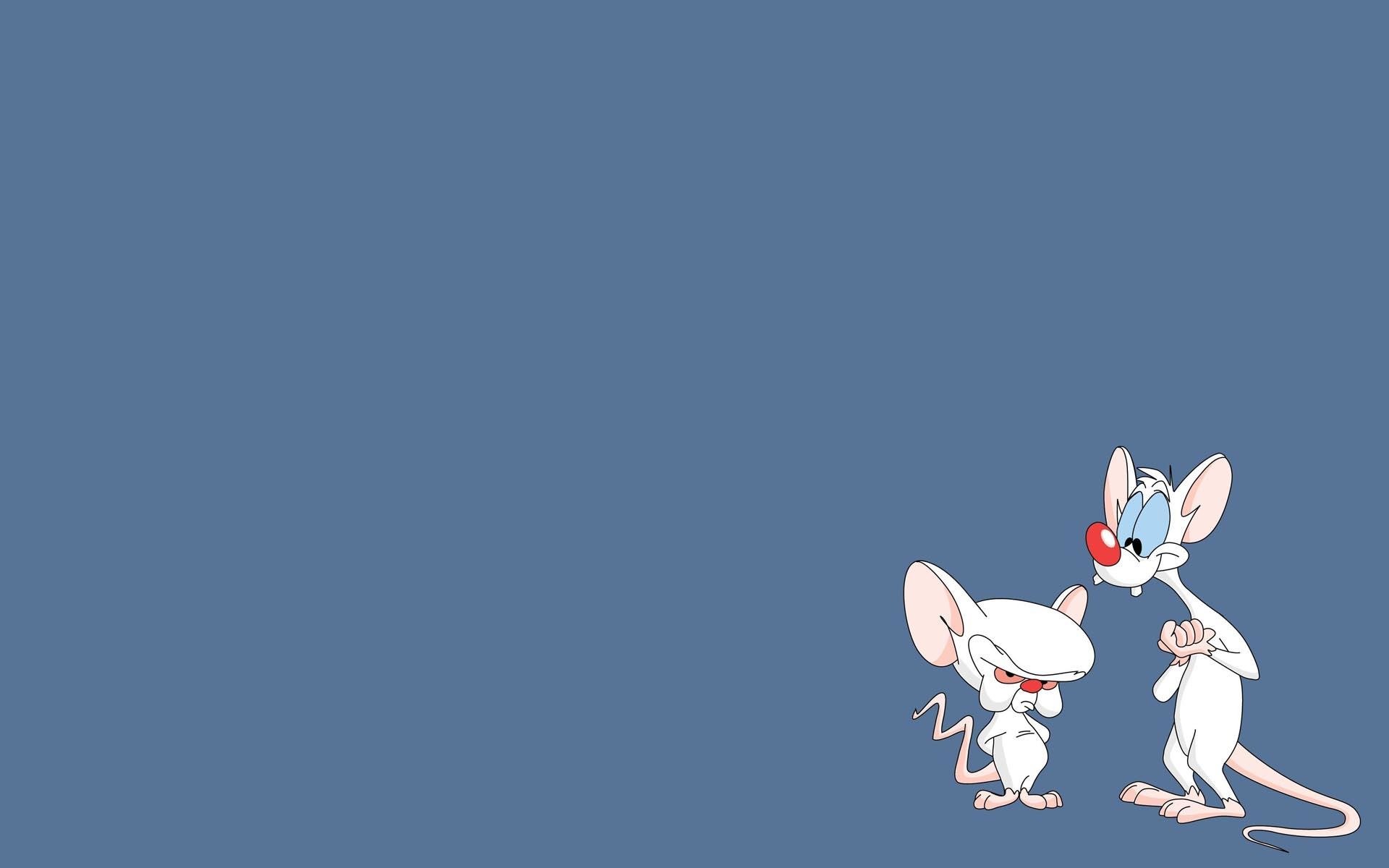Hd Wallpaper - Pinky And The Brain , HD Wallpaper & Backgrounds