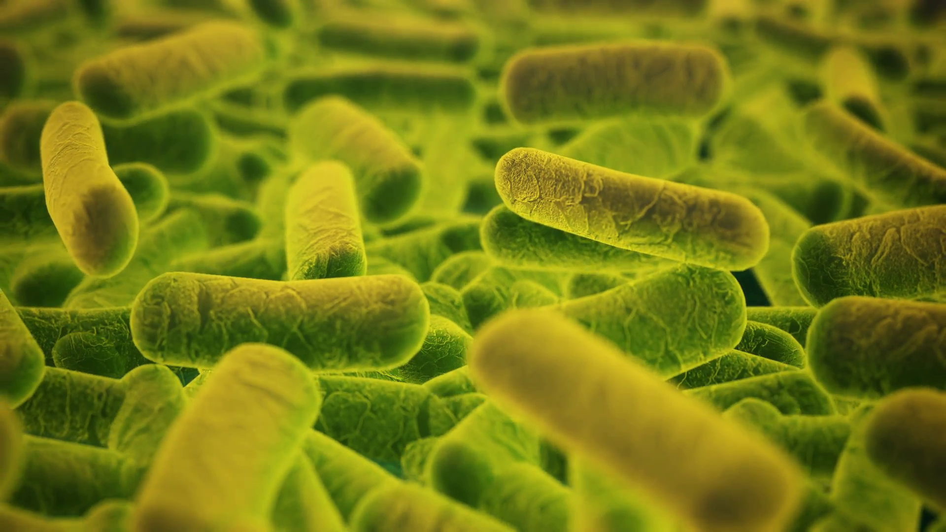 Bactéries Cellules Microbe Virus Bactéries Flottant , HD Wallpaper & Backgrounds