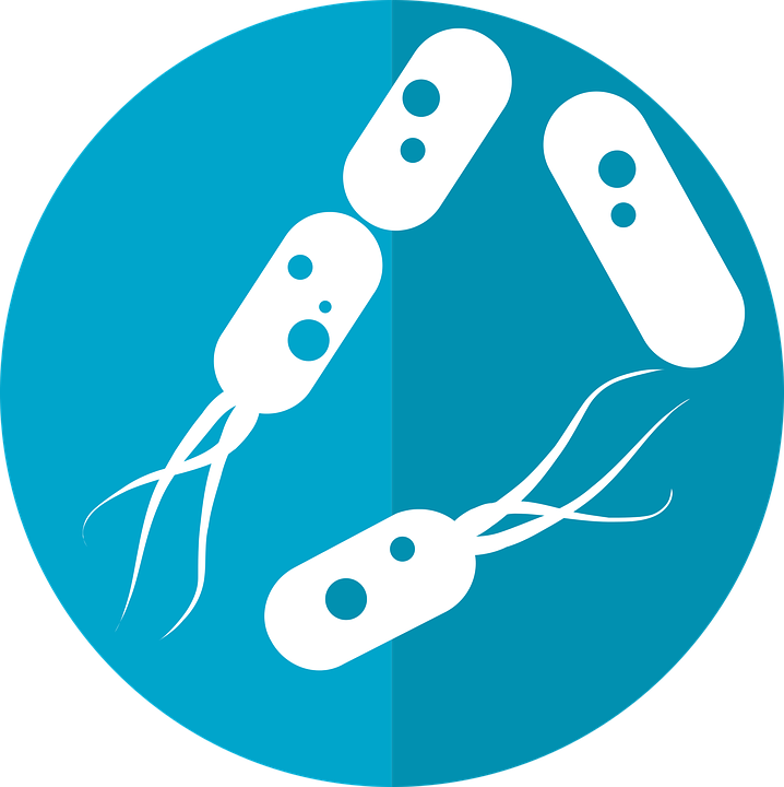 Bacteria Icon, Microbiome Icon - Bacterias Png , HD Wallpaper & Backgrounds