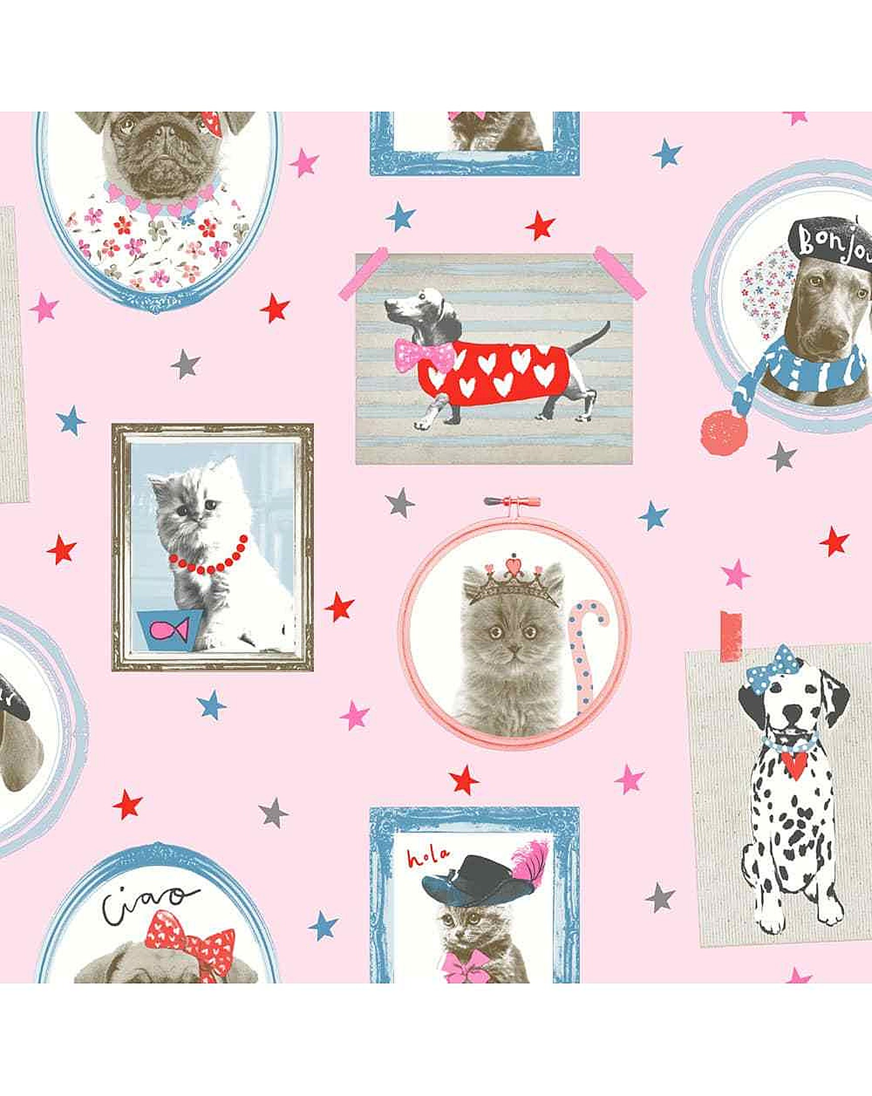 Papel Pintado Perros Gatos , HD Wallpaper & Backgrounds