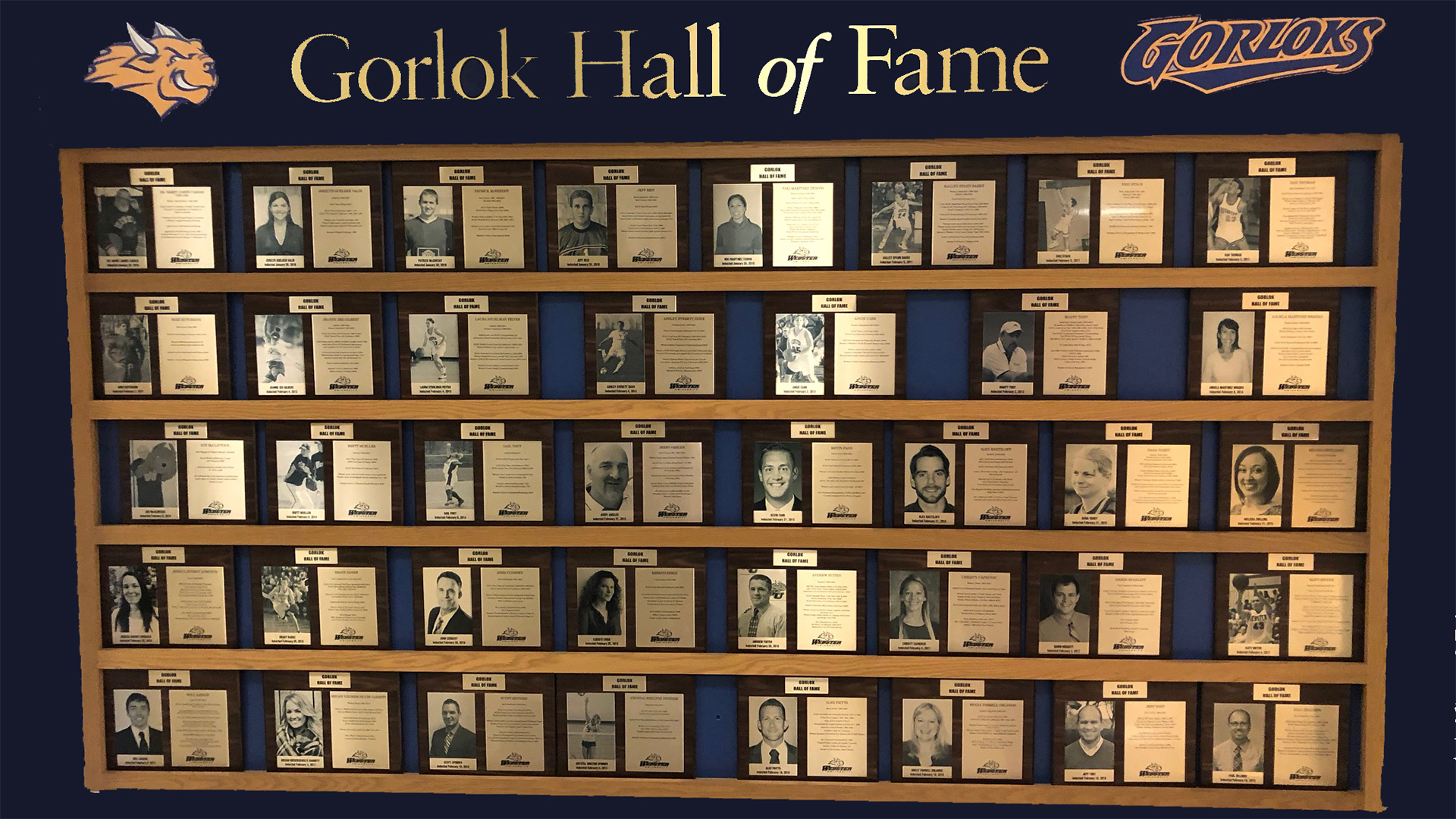Webster Athletics Names Its Hall Of Fame Class Of 2019 - Library , HD Wallpaper & Backgrounds