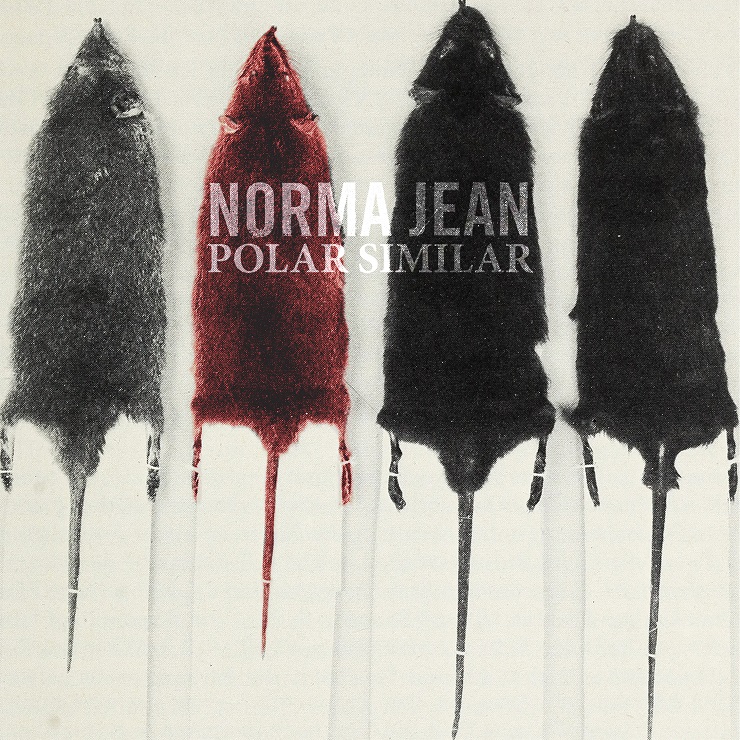 Norma Jean Polar Similar , HD Wallpaper & Backgrounds
