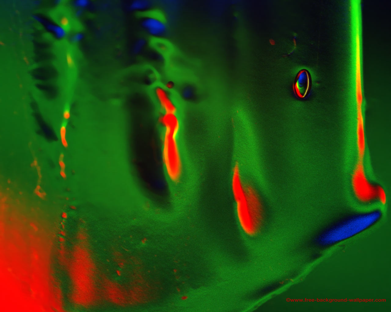 Abstract Melting Fish - Visual Arts , HD Wallpaper & Backgrounds