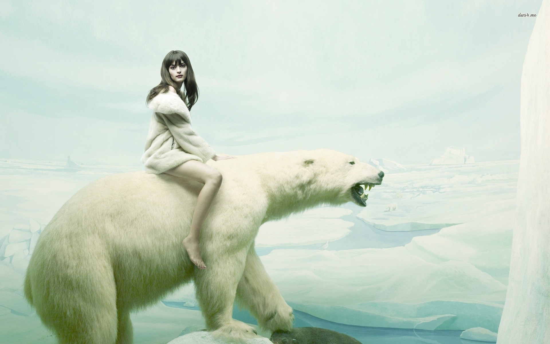 Polar Bear On Melting Ice Hd Desktop Wallpaper - Polar Bear And Woman , HD Wallpaper & Backgrounds