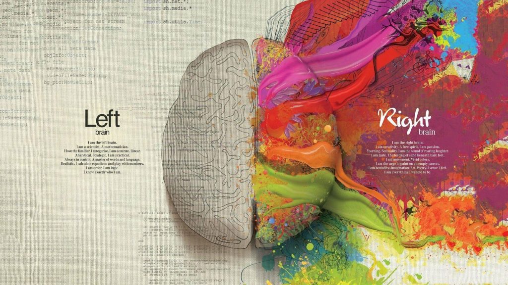 Brain Code Imagination Wallpaper - Left Brain Right Brain , HD Wallpaper & Backgrounds
