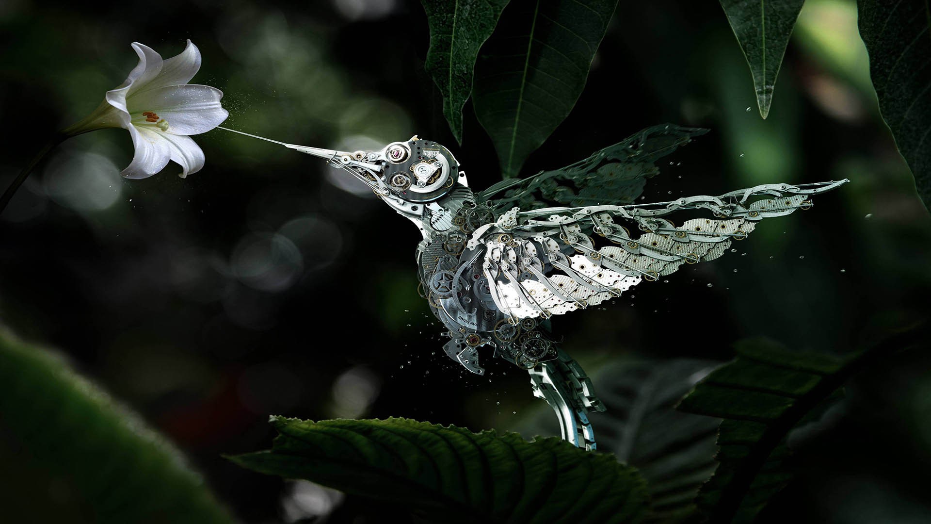Mechanical Hummingbird , HD Wallpaper & Backgrounds