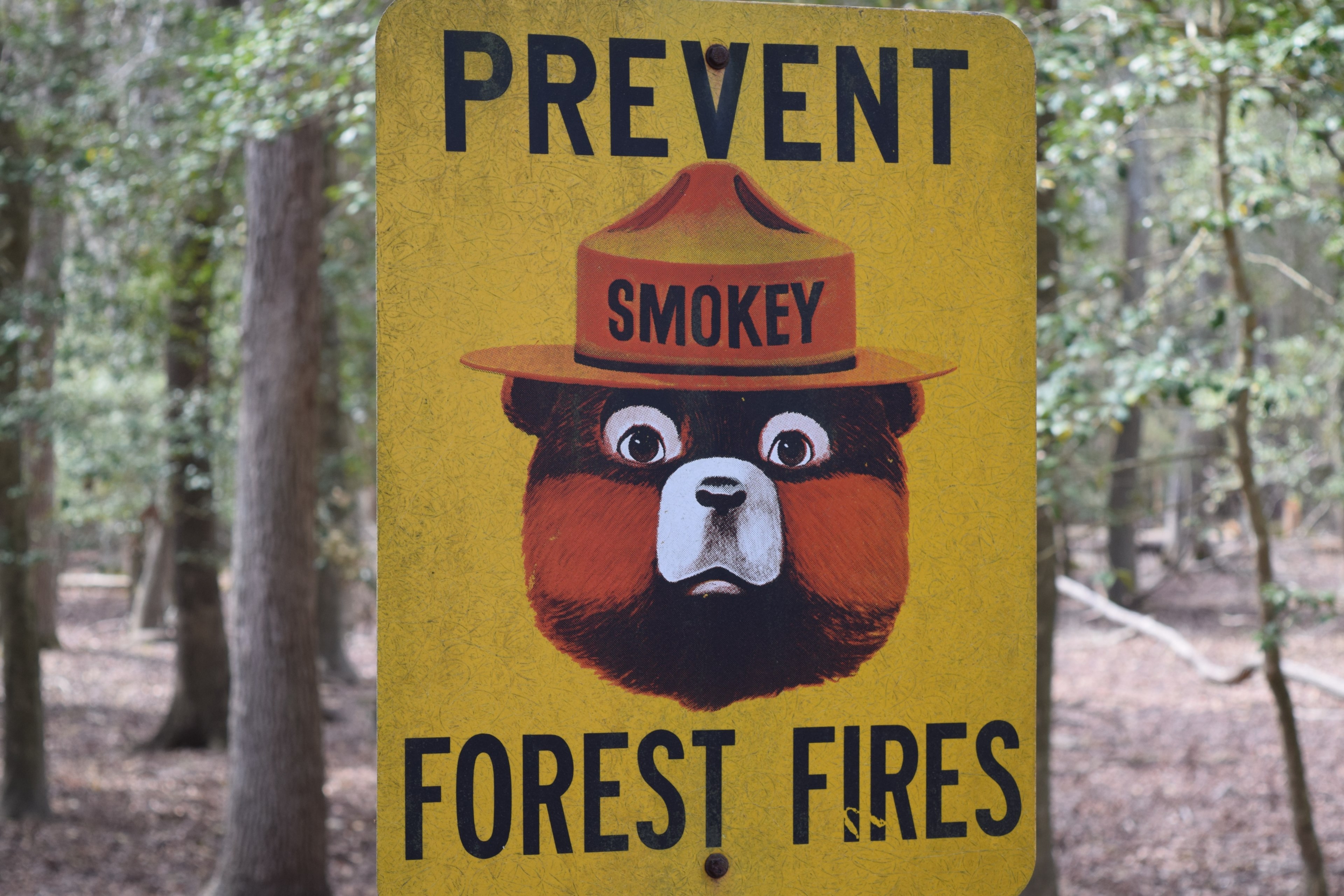 #3840x2560 Fire Sign Propaganda And Safety Hd 4k Wallpaper - Smokey The Bear Vintage Sign , HD Wallpaper & Backgrounds
