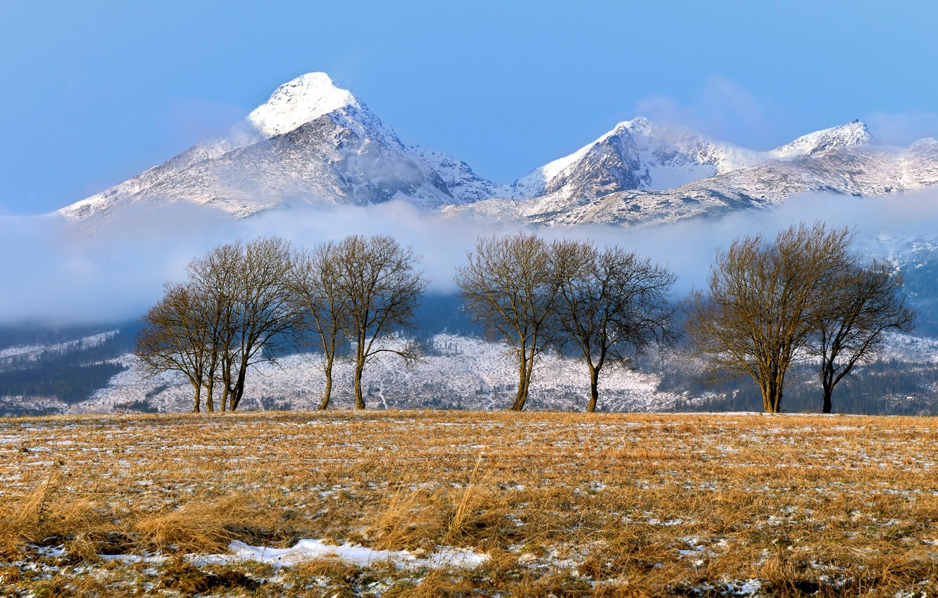 Photo Wallpaper Winter, Mountains, Slovakia, Tatras - Hd Tatra Mountains , HD Wallpaper & Backgrounds