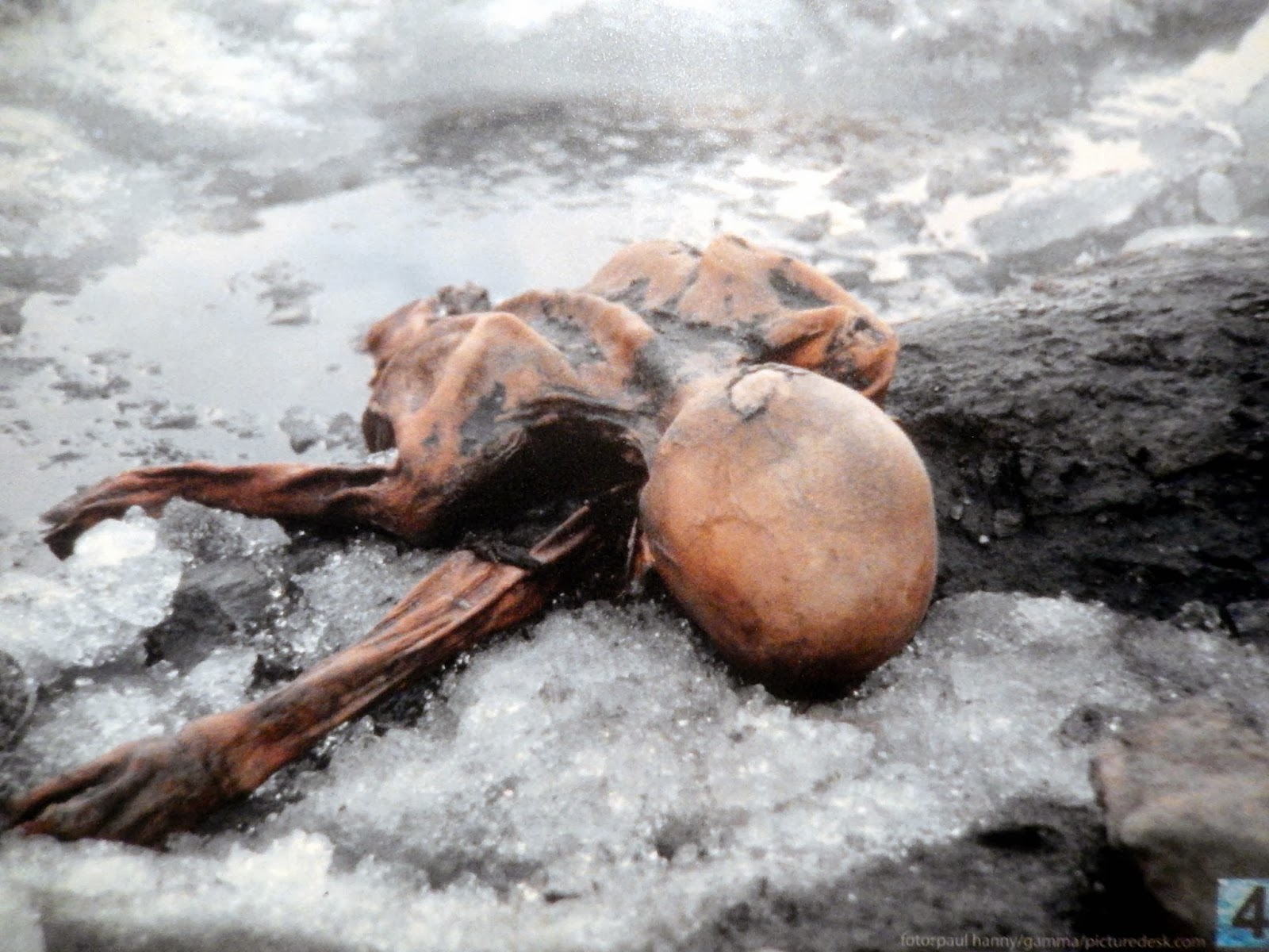 Ötzi The Iceman - Otzi The Iceman In Snow , HD Wallpaper & Backgrounds