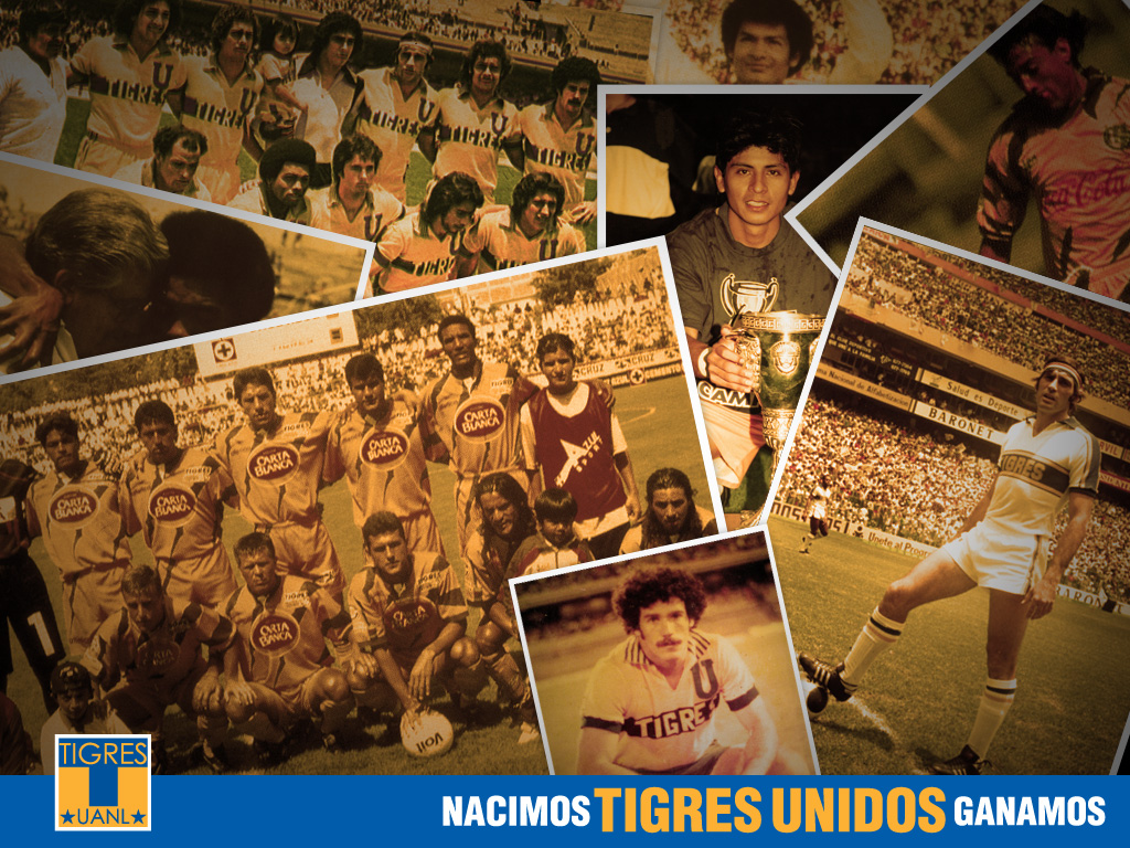 Image - Fondos De Pantalla De Tigres Uanl En Png , HD Wallpaper & Backgrounds