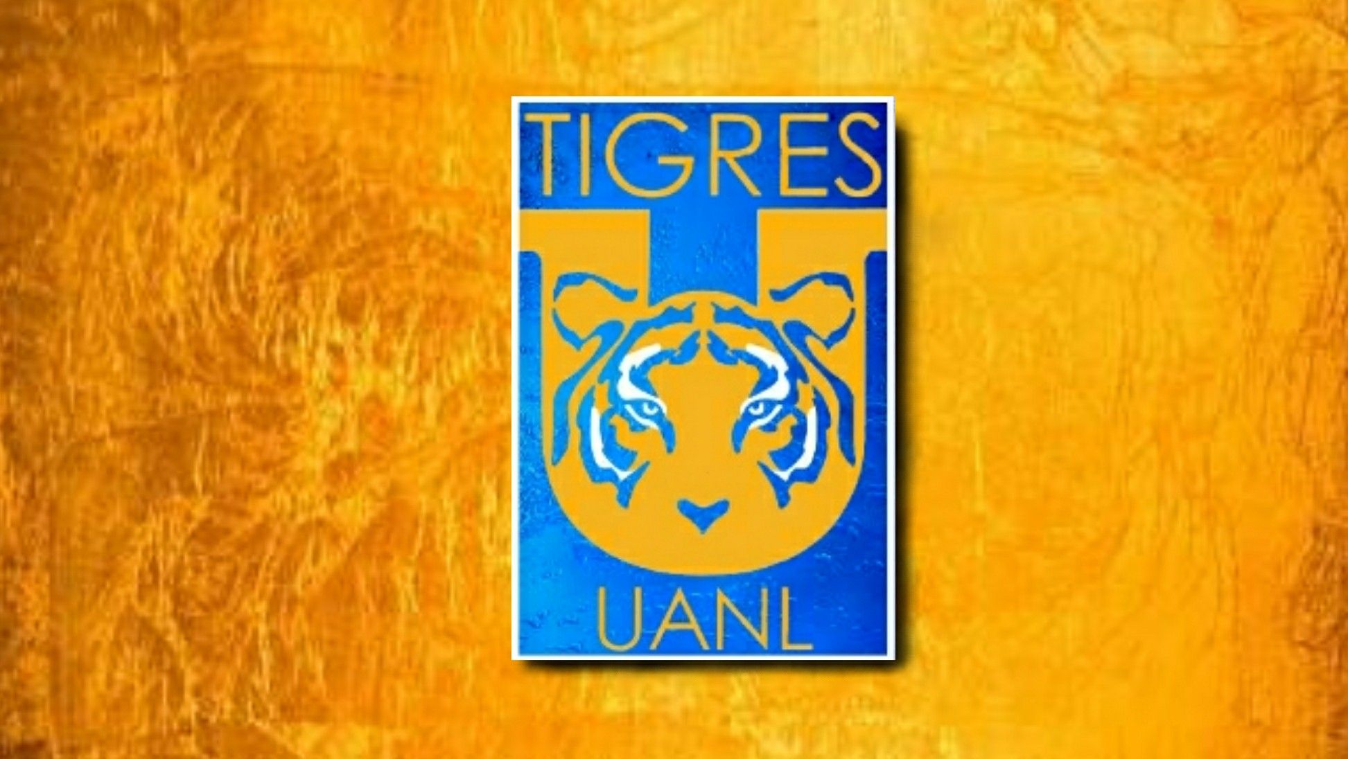 Tigres Uanl Wallpaper - Club Tigres , HD Wallpaper & Backgrounds