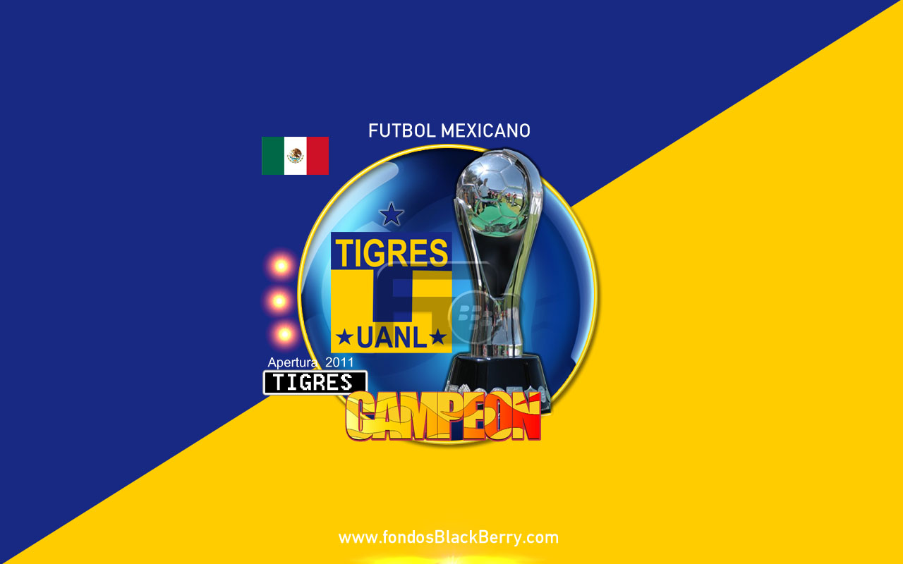Tigres Campeon 2011, 3 Estrellas, Apertura, Escudo, - Tigres Uanl , HD Wallpaper & Backgrounds