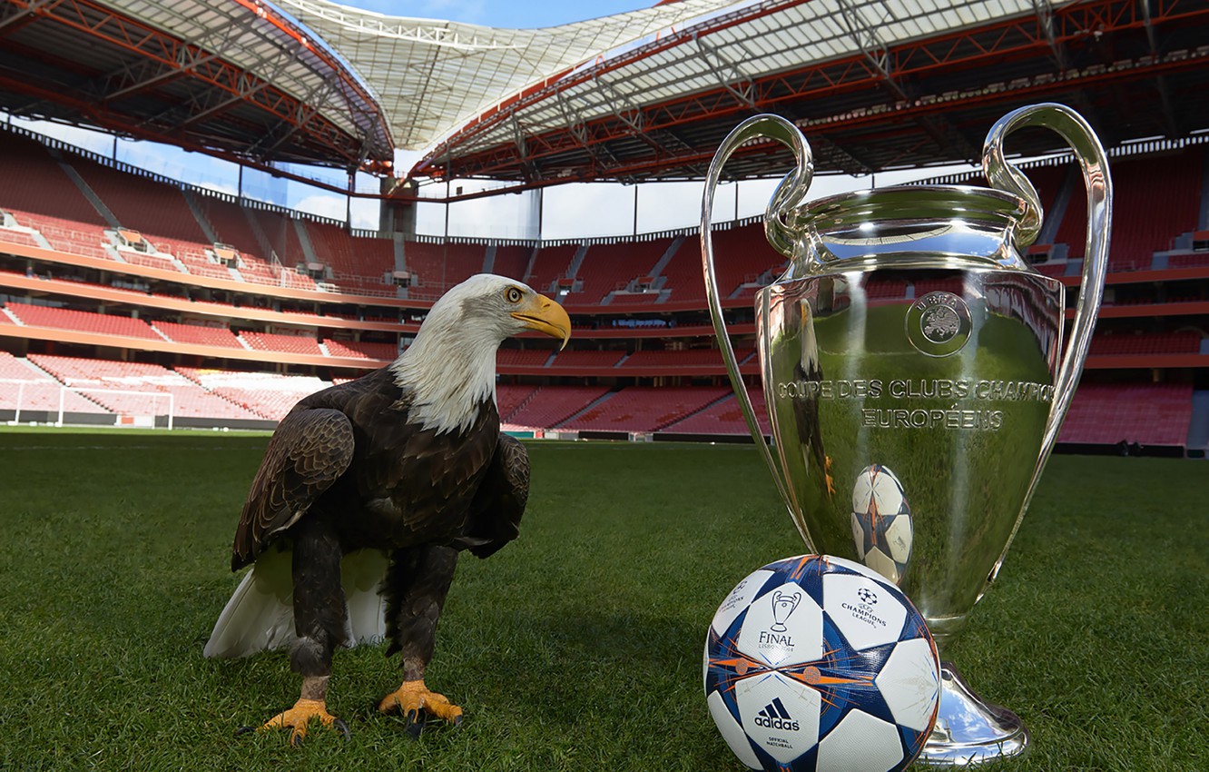 Photo Wallpaper The Ball, Sport, Football, Adidas, - Estádio Da Luz , HD Wallpaper & Backgrounds