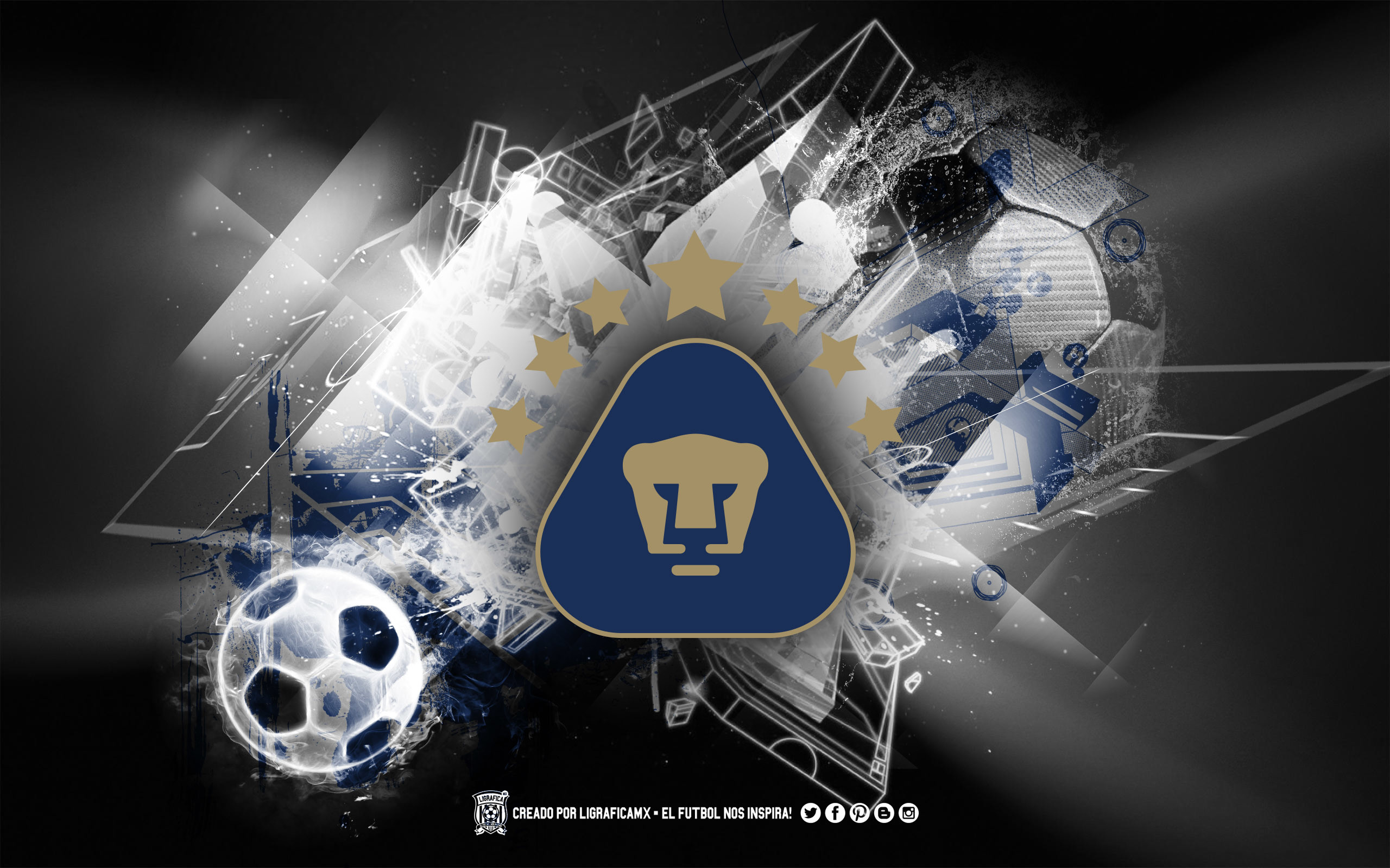 Pumas Unam Logo , HD Wallpaper & Backgrounds