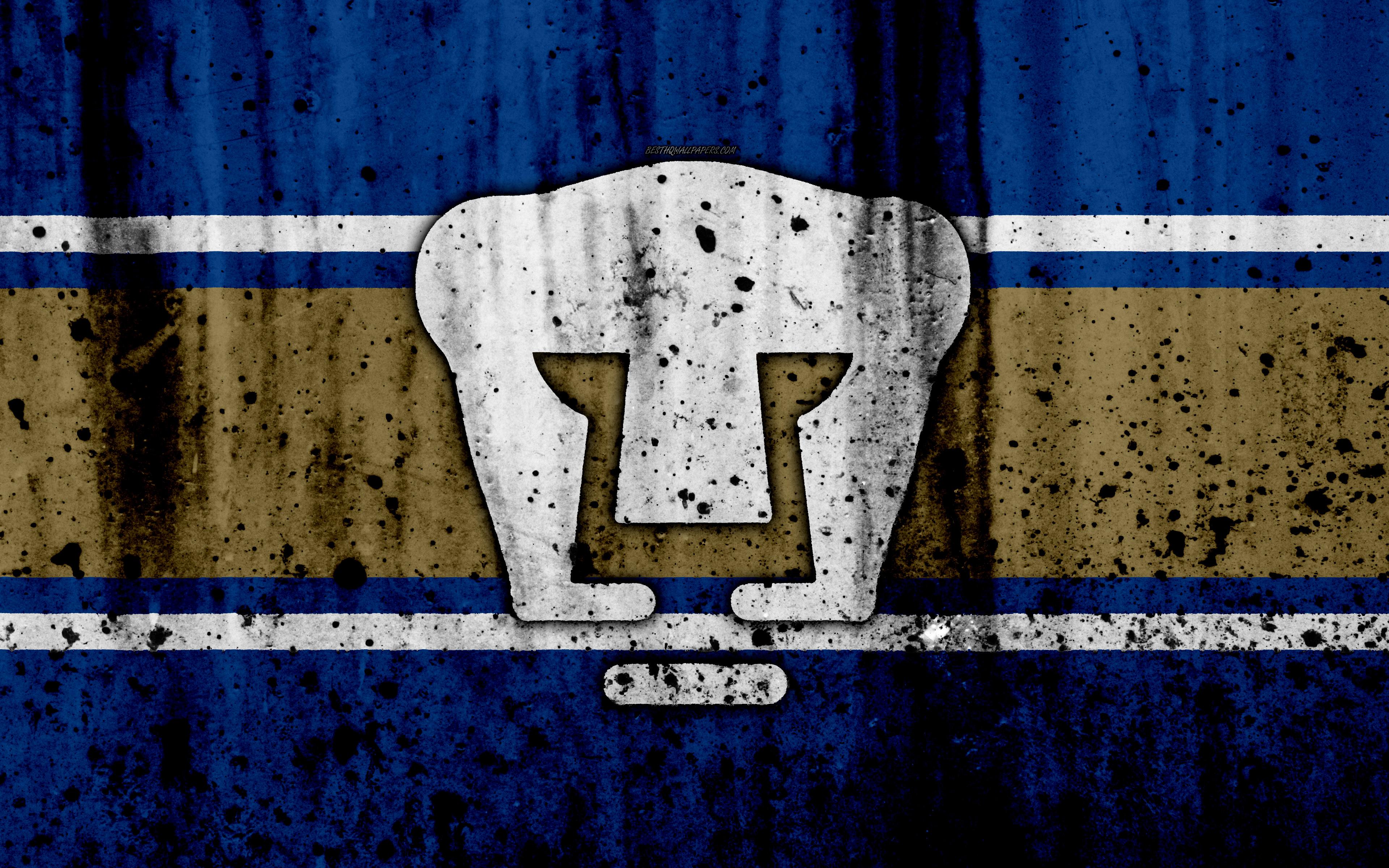 Pumas Unam Wallpaper - Pumas Unam Wallpaper 4k , HD Wallpaper & Backgrounds